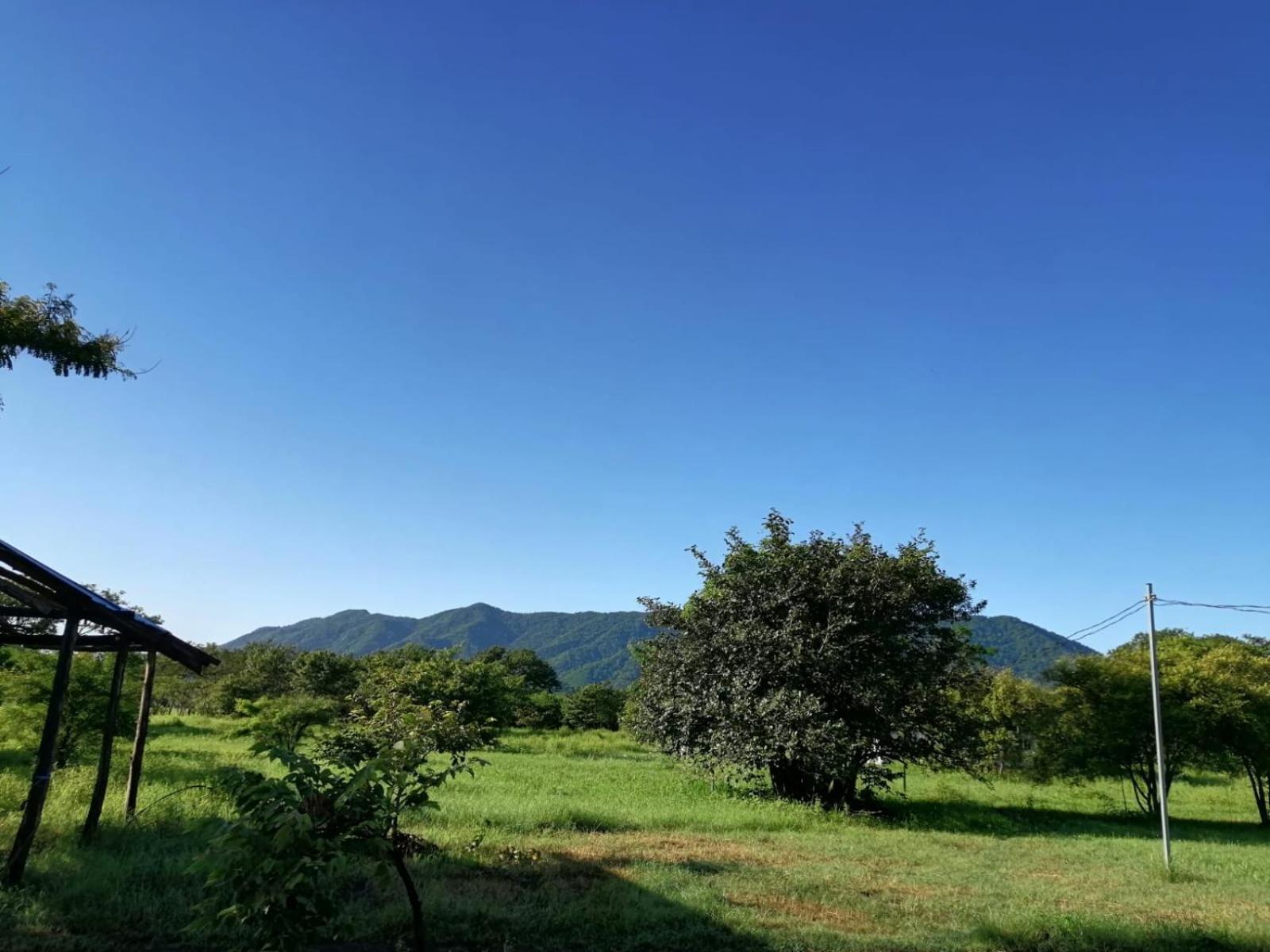 Chiquita House, Guanacaste Blue Zone
