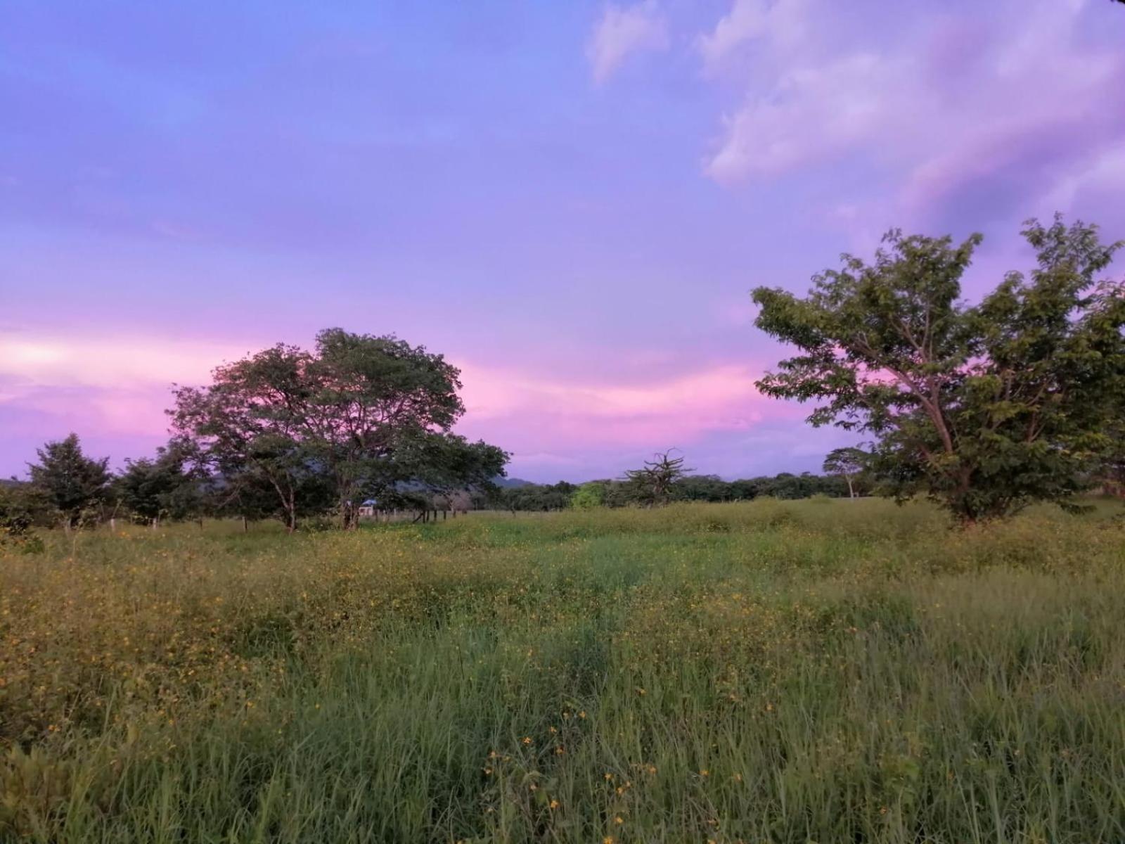 Chiquita House, Guanacaste Blue Zone