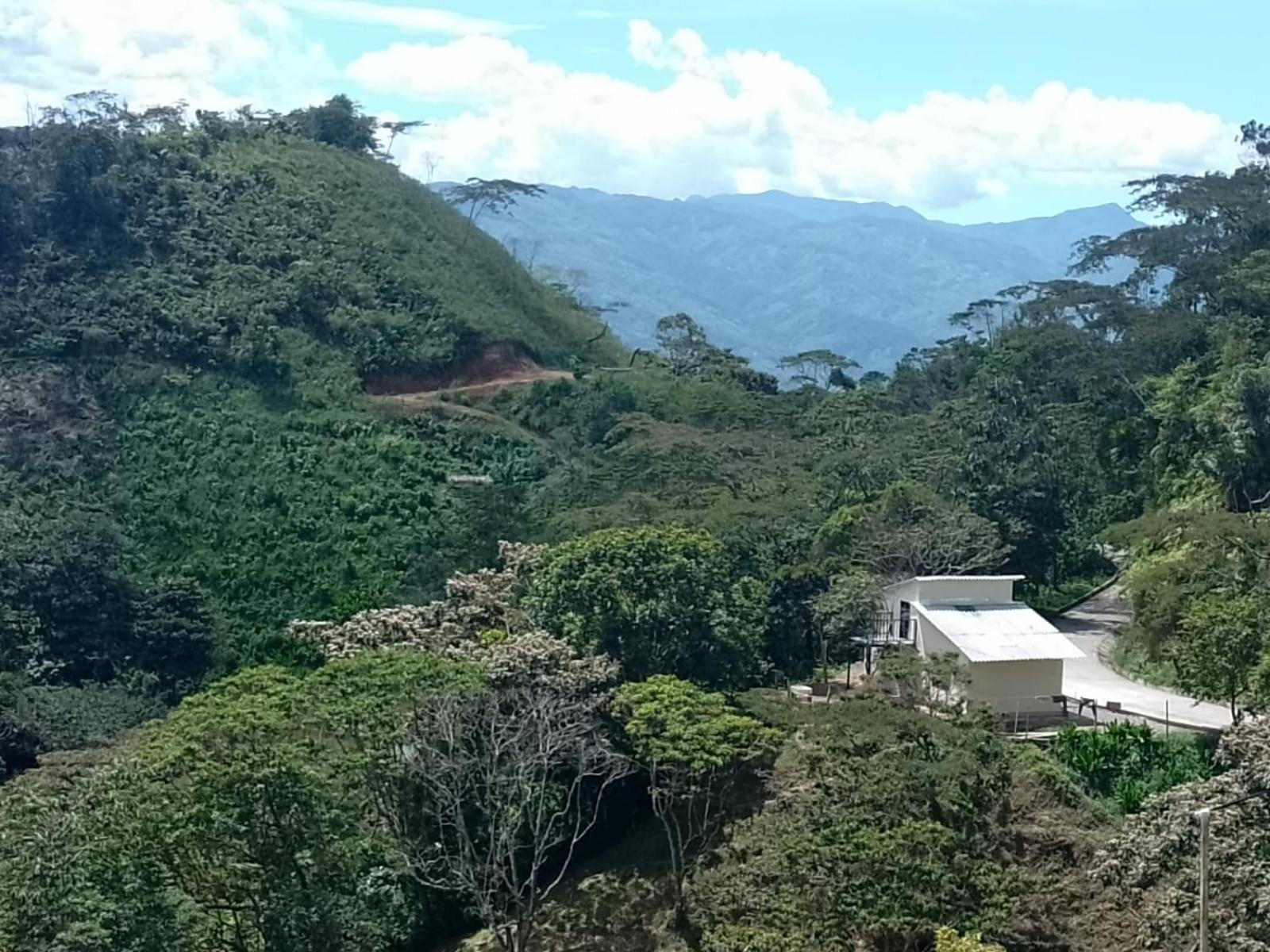 Finca La Palma