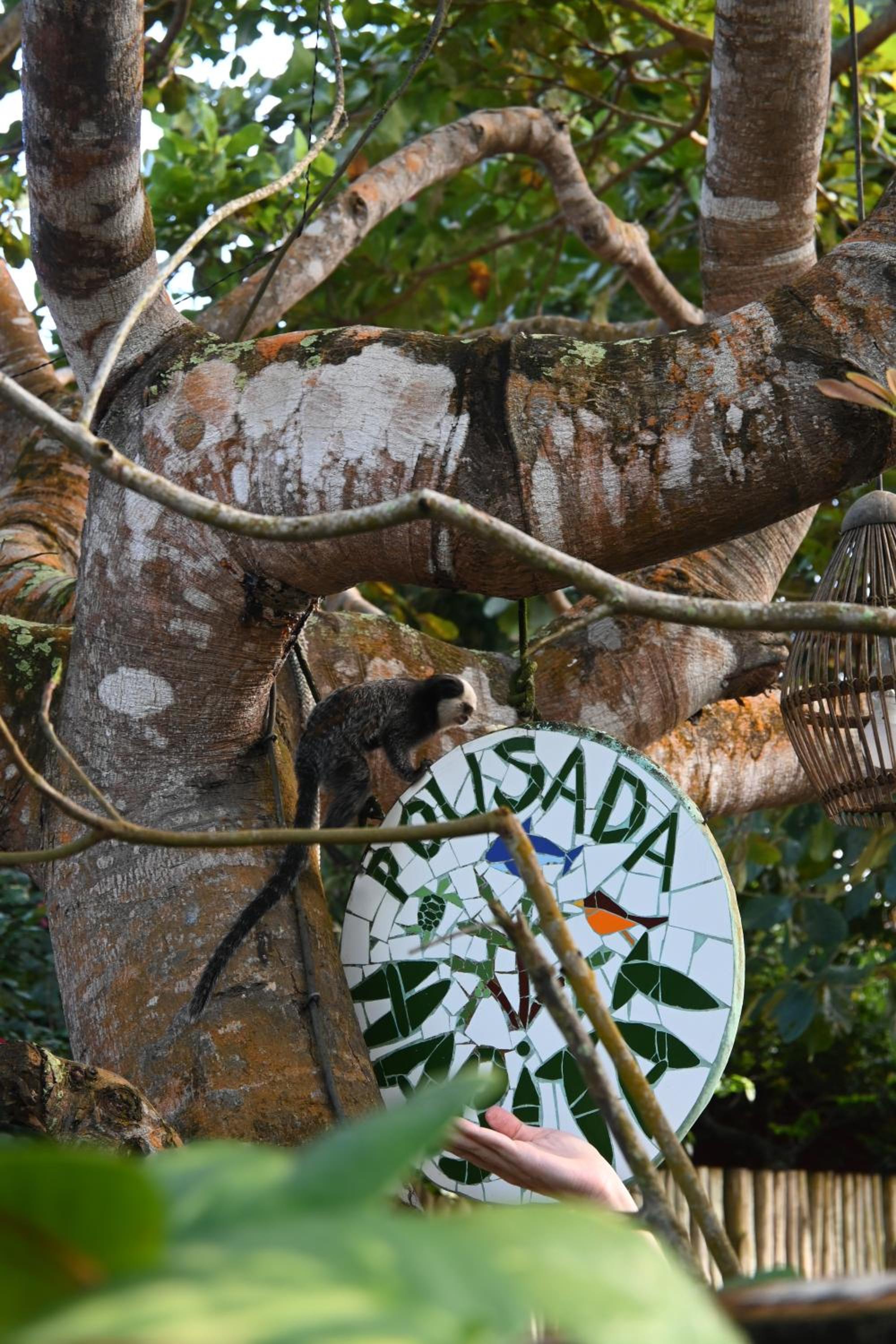 Pousada Habitat Caraíva view 2