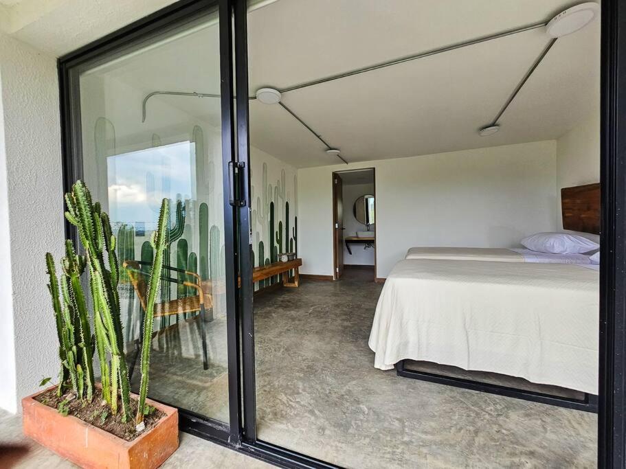 Casa Piamonte Quindío