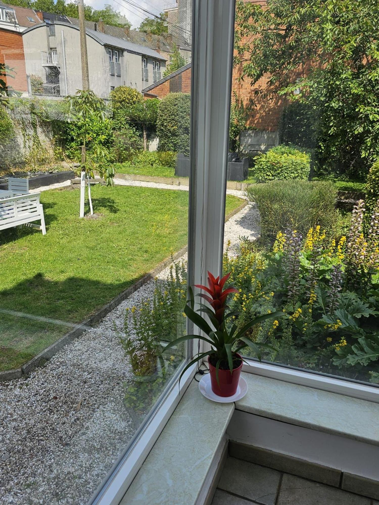 Maison 3 chambres, garage et jardin