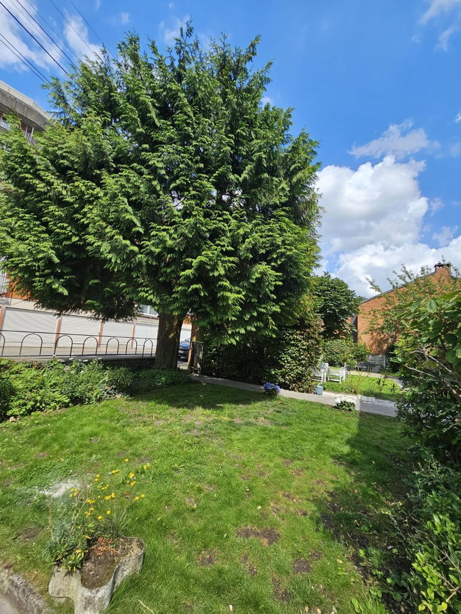 Maison 3 chambres, garage et jardin