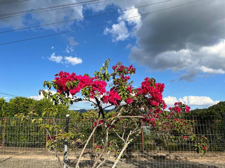 other