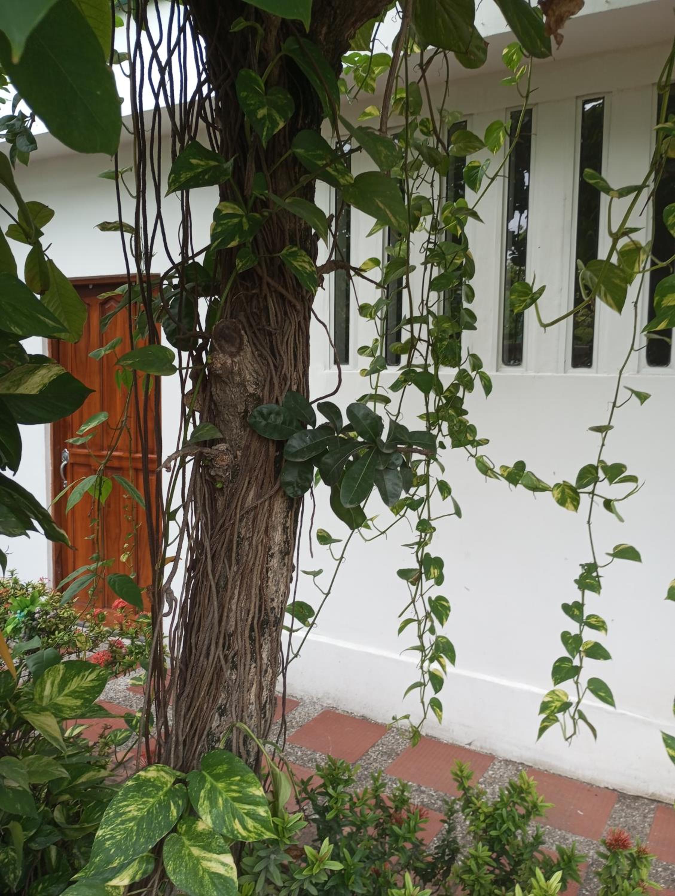 Casa García