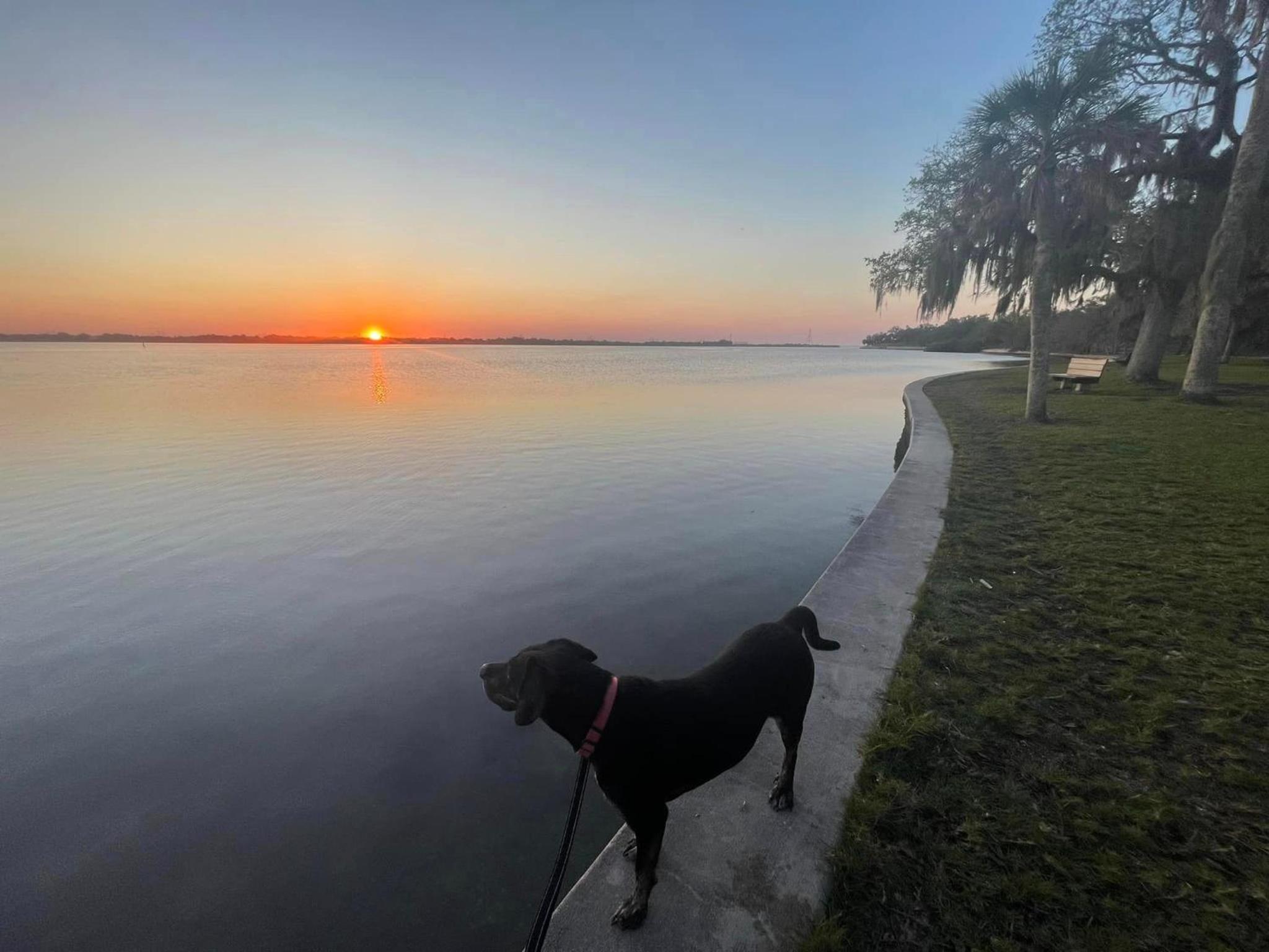 Spacious 4 bedroom 3 bath Clearwater Vacation House Cowboy Pool Fire Pit Games Close to Clearwater Beach Biking Trail Farmers Markets Harbor Health Spa Bay