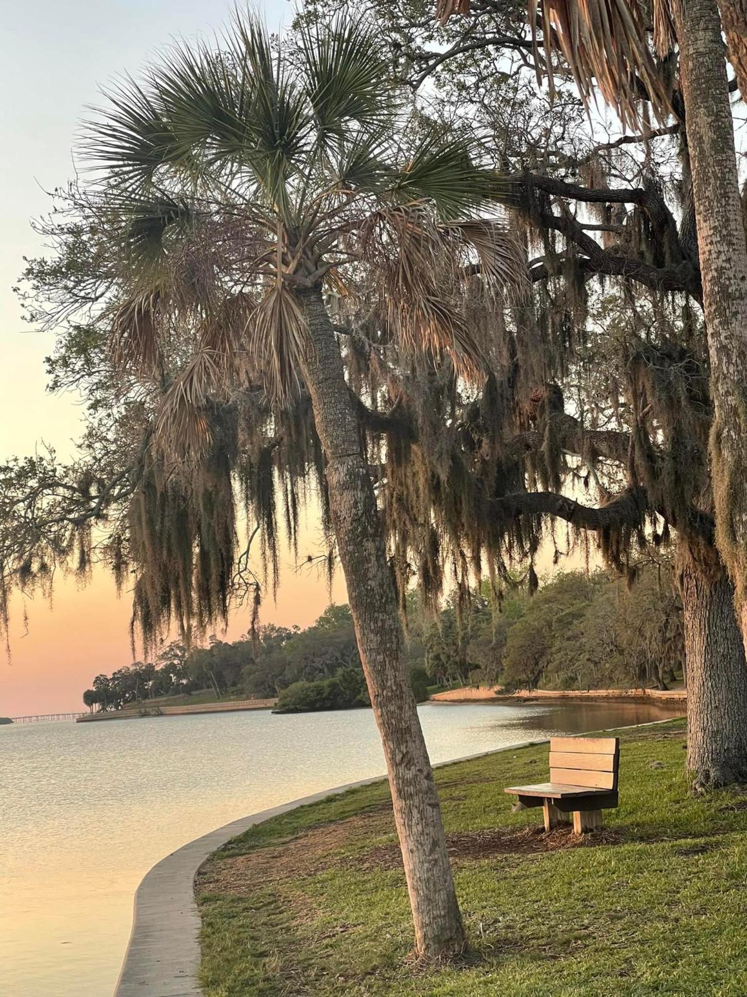 Spacious 4 bedroom 3 bath Clearwater Vacation House Cowboy Pool Fire Pit Games Close to Clearwater Beach Biking Trail Farmers Markets Harbor Health Spa Bay