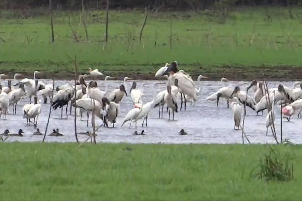 CañoNegro CasaBlanca