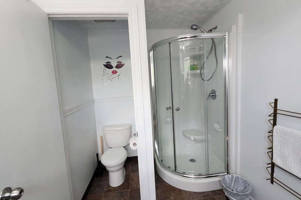 Family chalet - spa - in Tremblant village