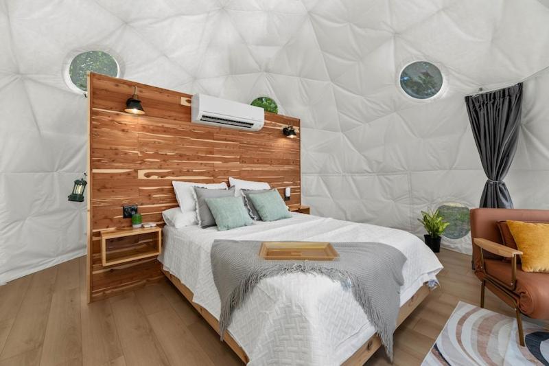 Stargazing domes on a farm
