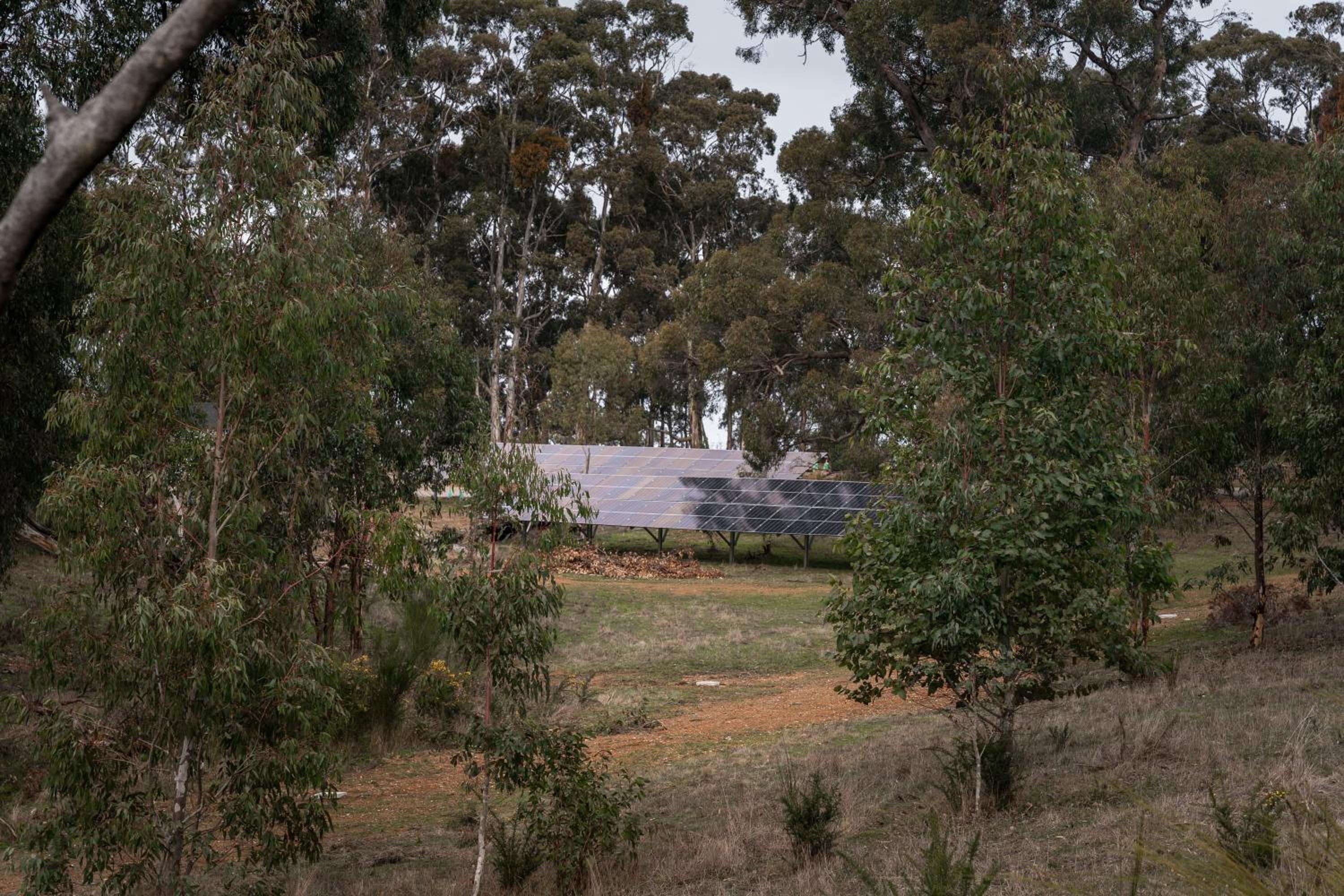 CABN Hahndorf