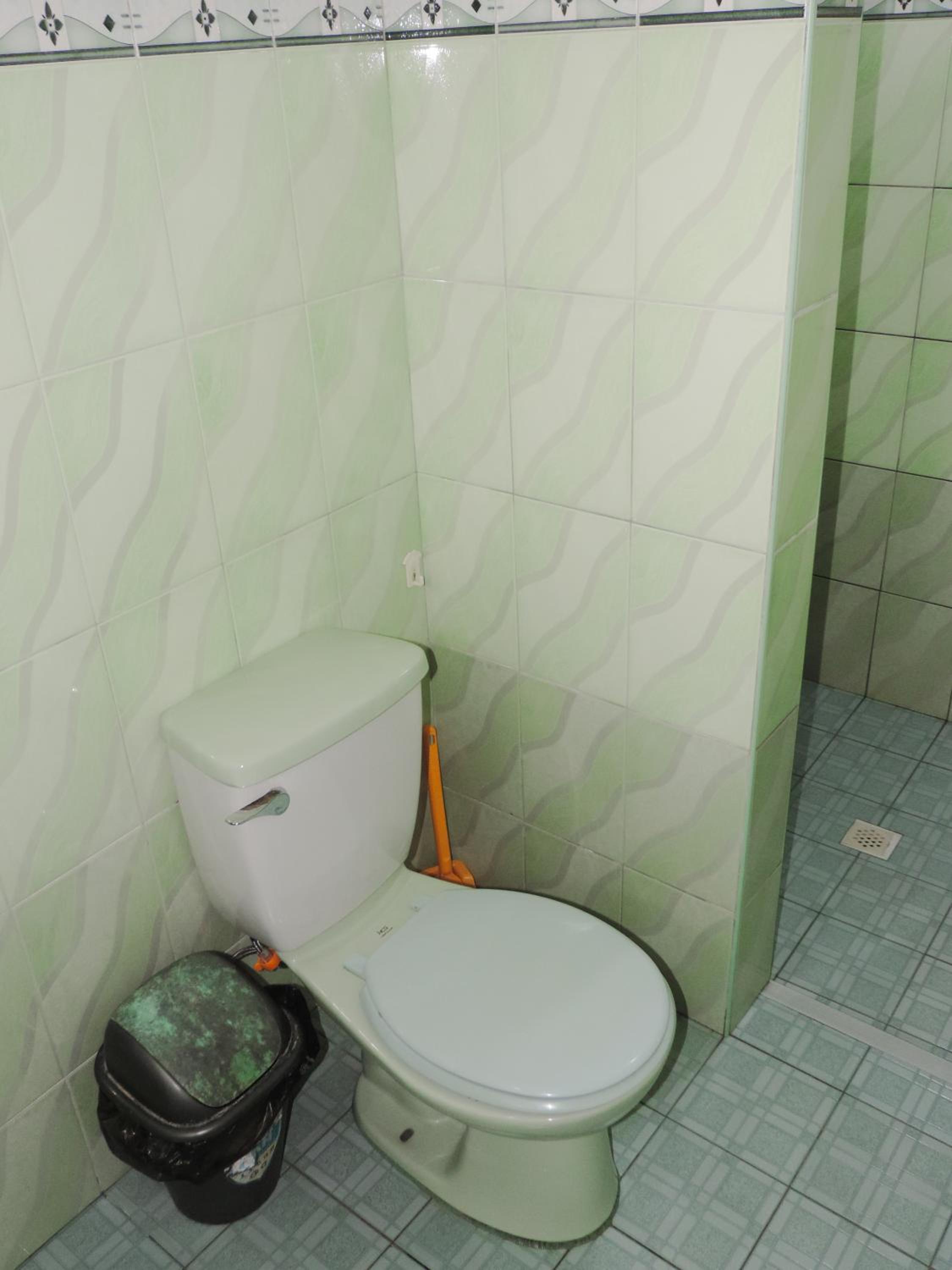 Photo 44