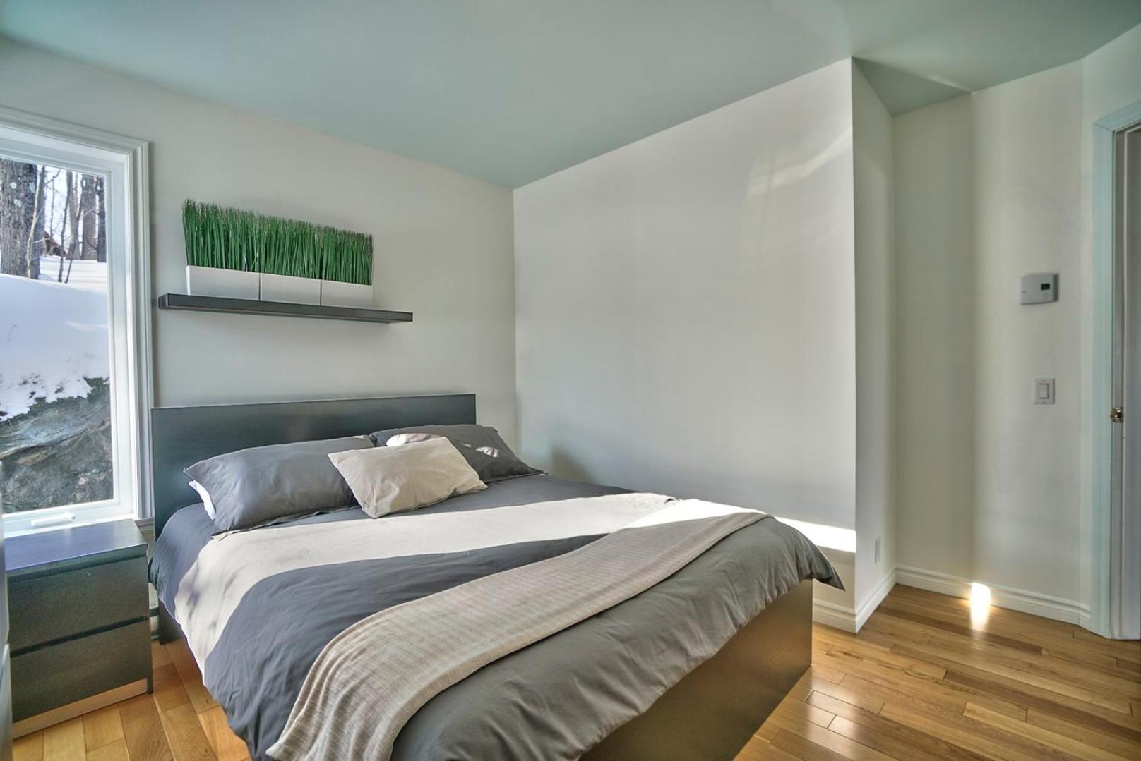 Dynamite 2-Bedroom House, Garage, Sleeps 6