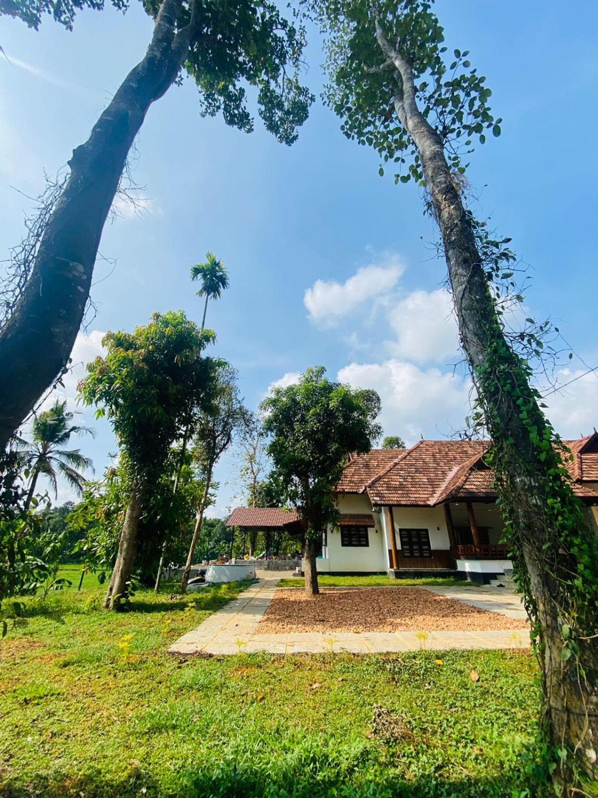 Teal Heritage Villa view 2