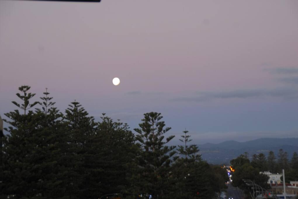 Glenelg BEACH & Park views -wifi parking