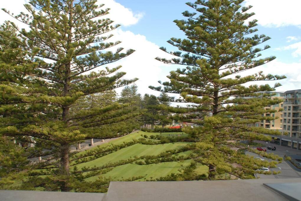 Glenelg BEACH & Park views -wifi parking