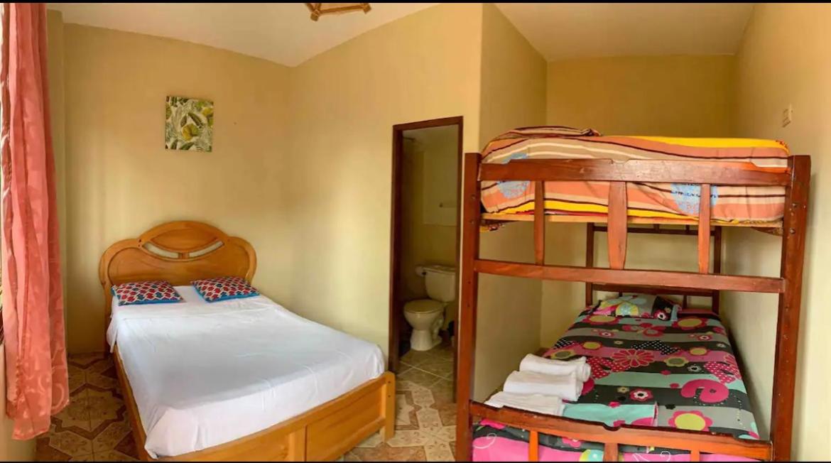 Alan Hostal Tigrillo