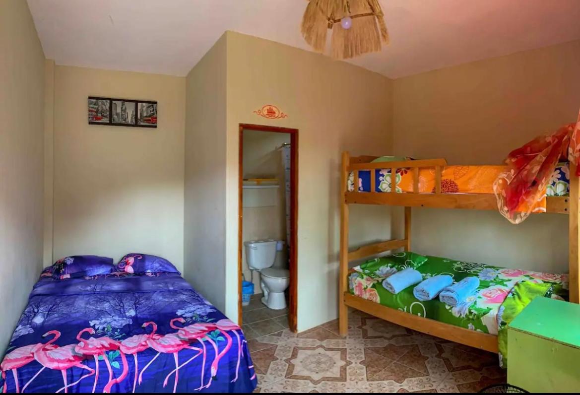 Alan Hostal Tigrillo