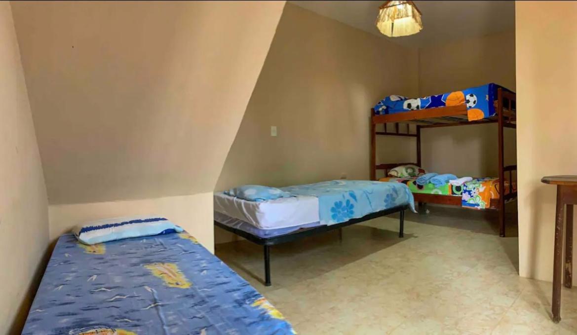 Alan Hostal Tigrillo