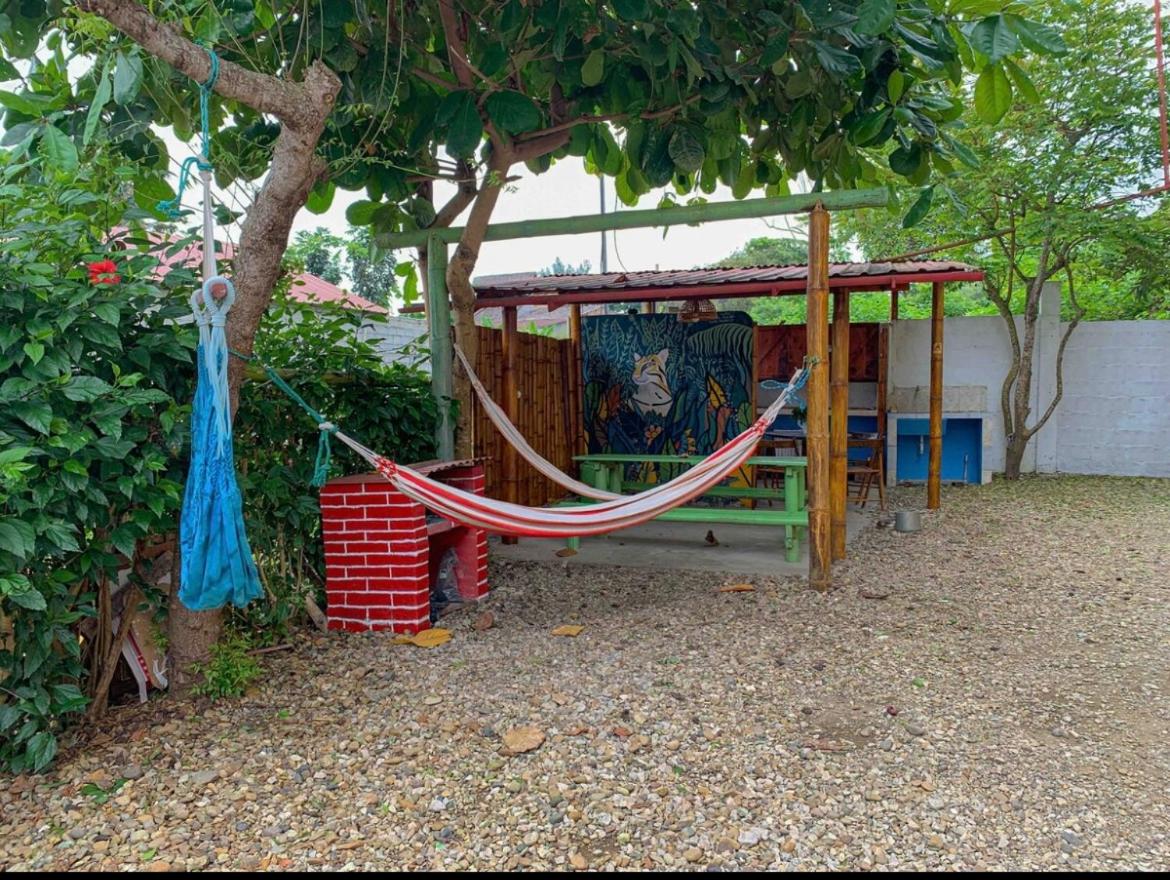Alan Hostal Tigrillo
