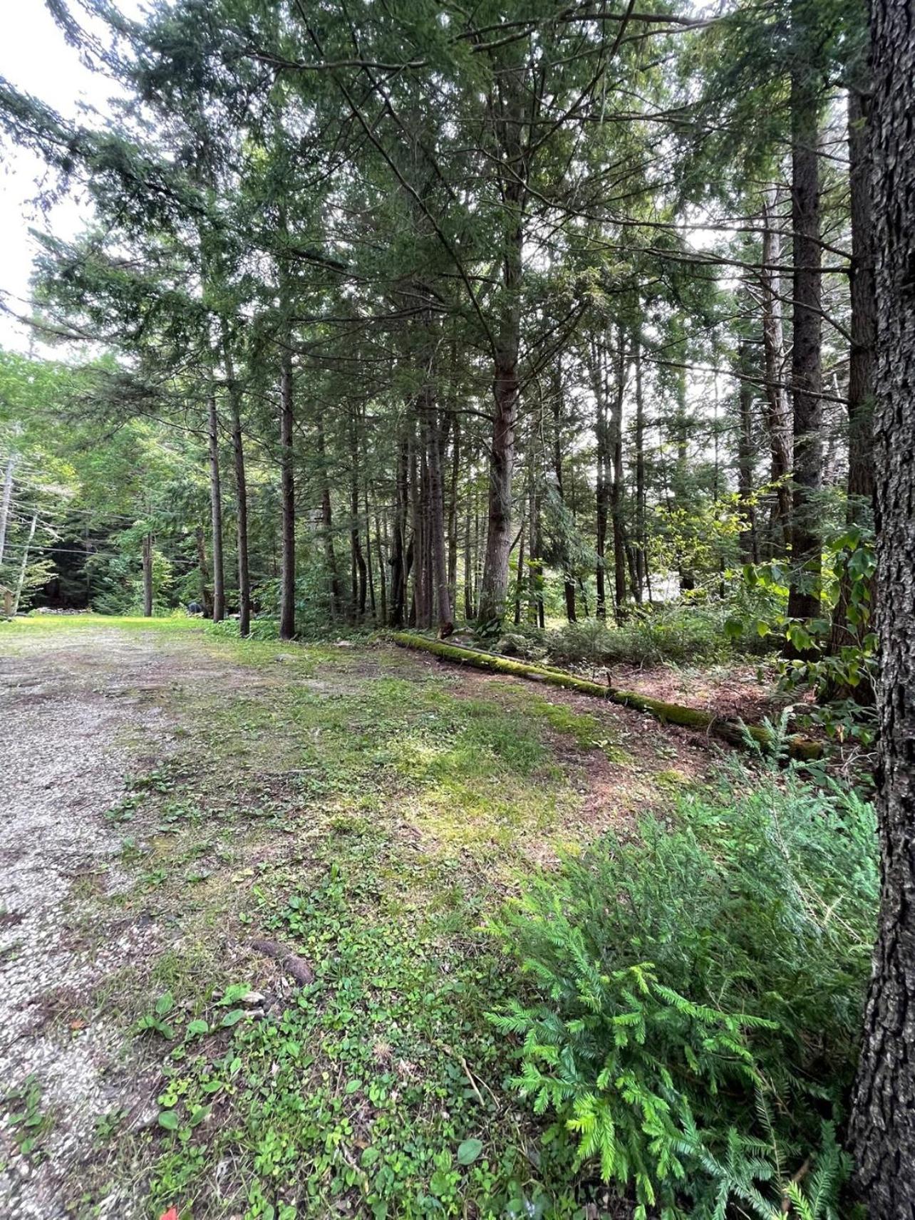 Cozy Log Cabin - Dog Friendly view 4