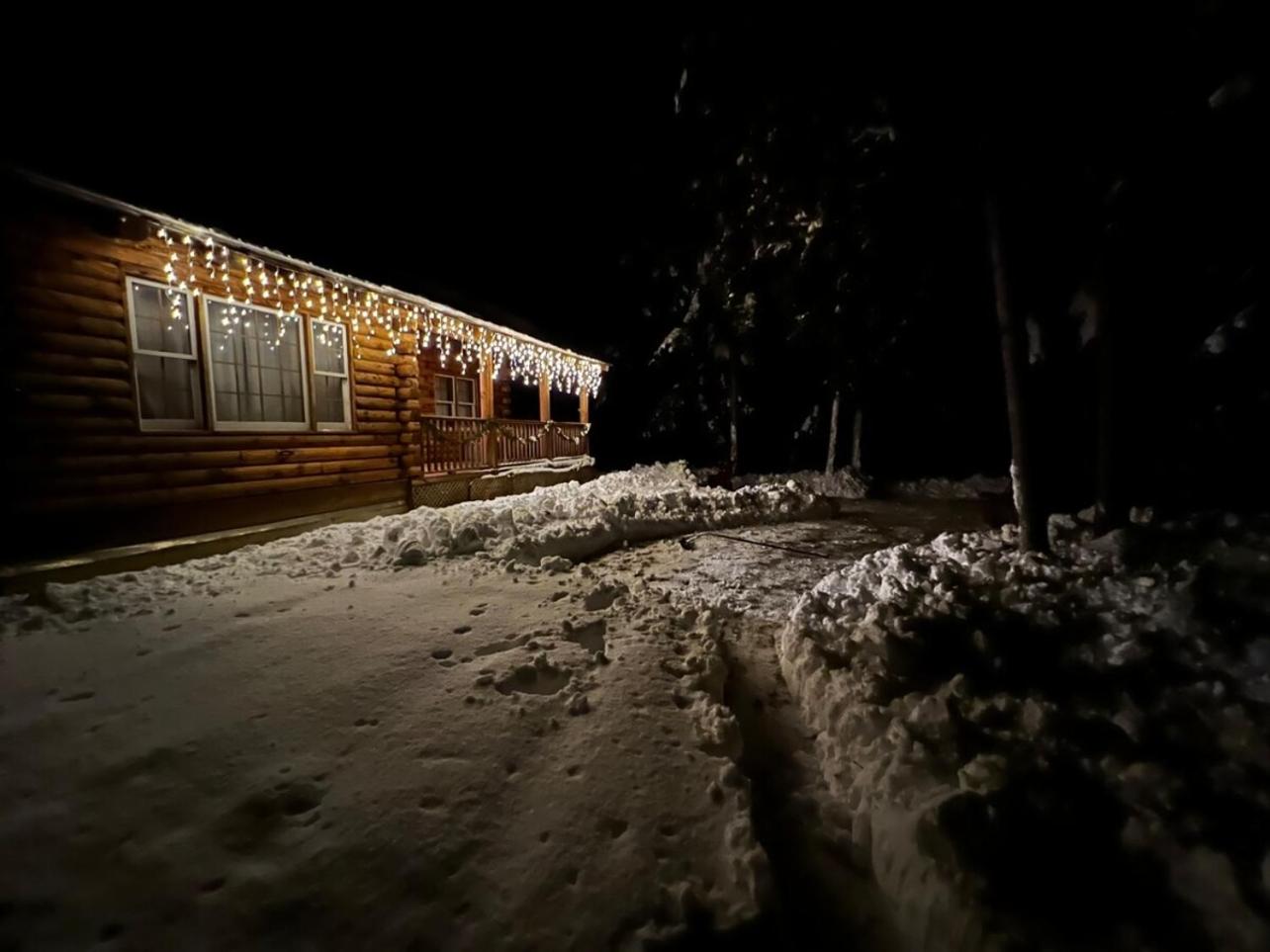 Photo 41