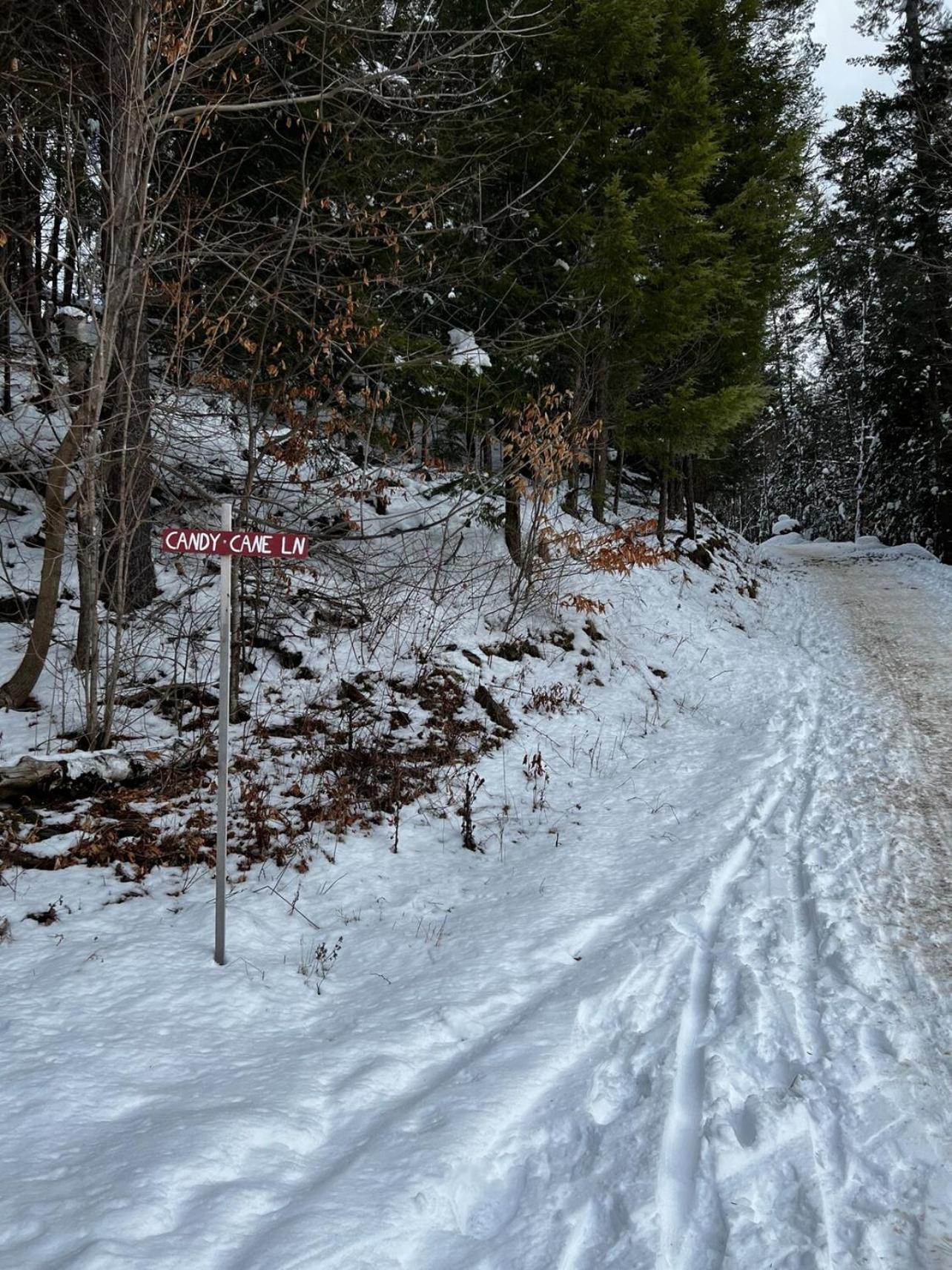 Photo 45