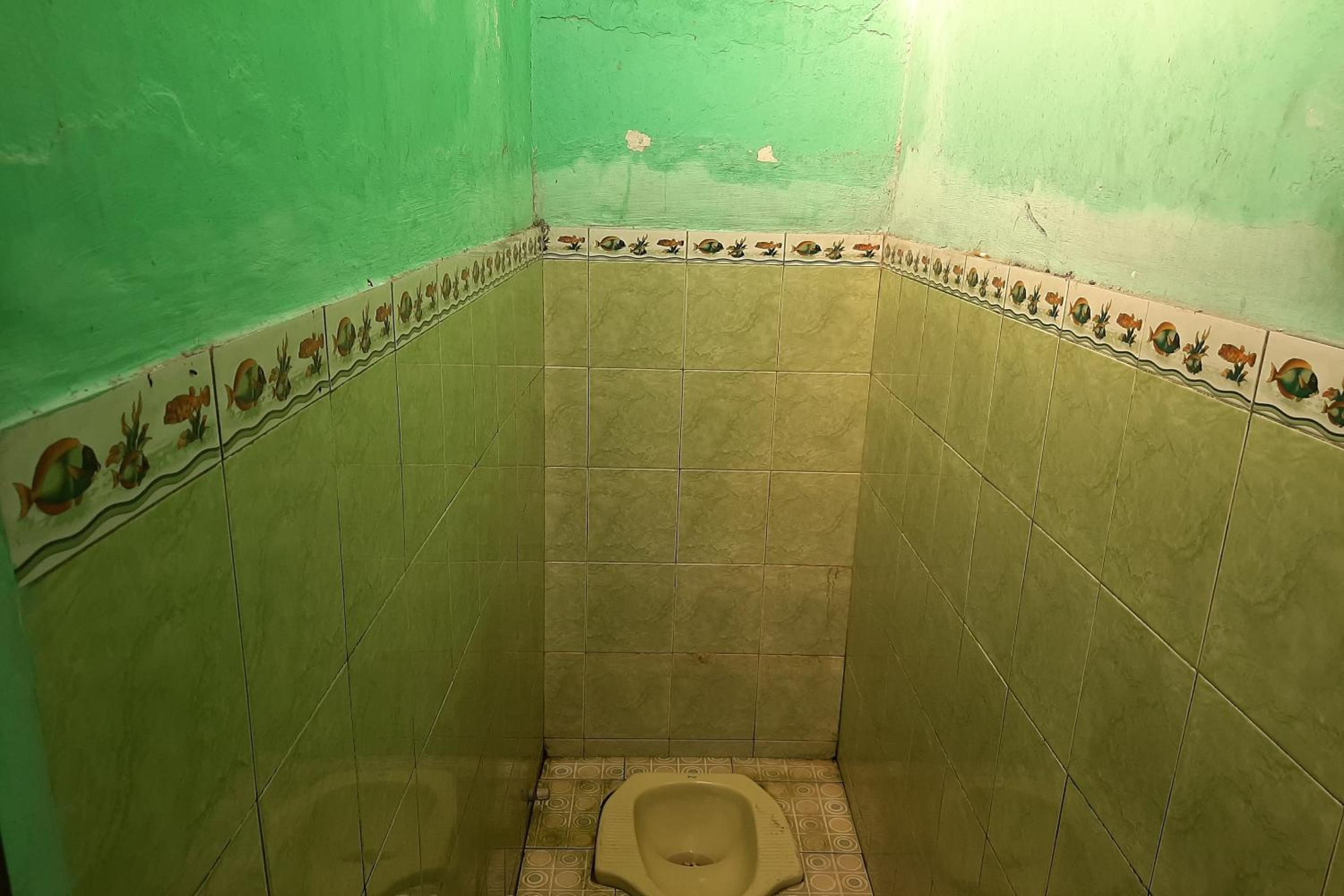 Photo 33