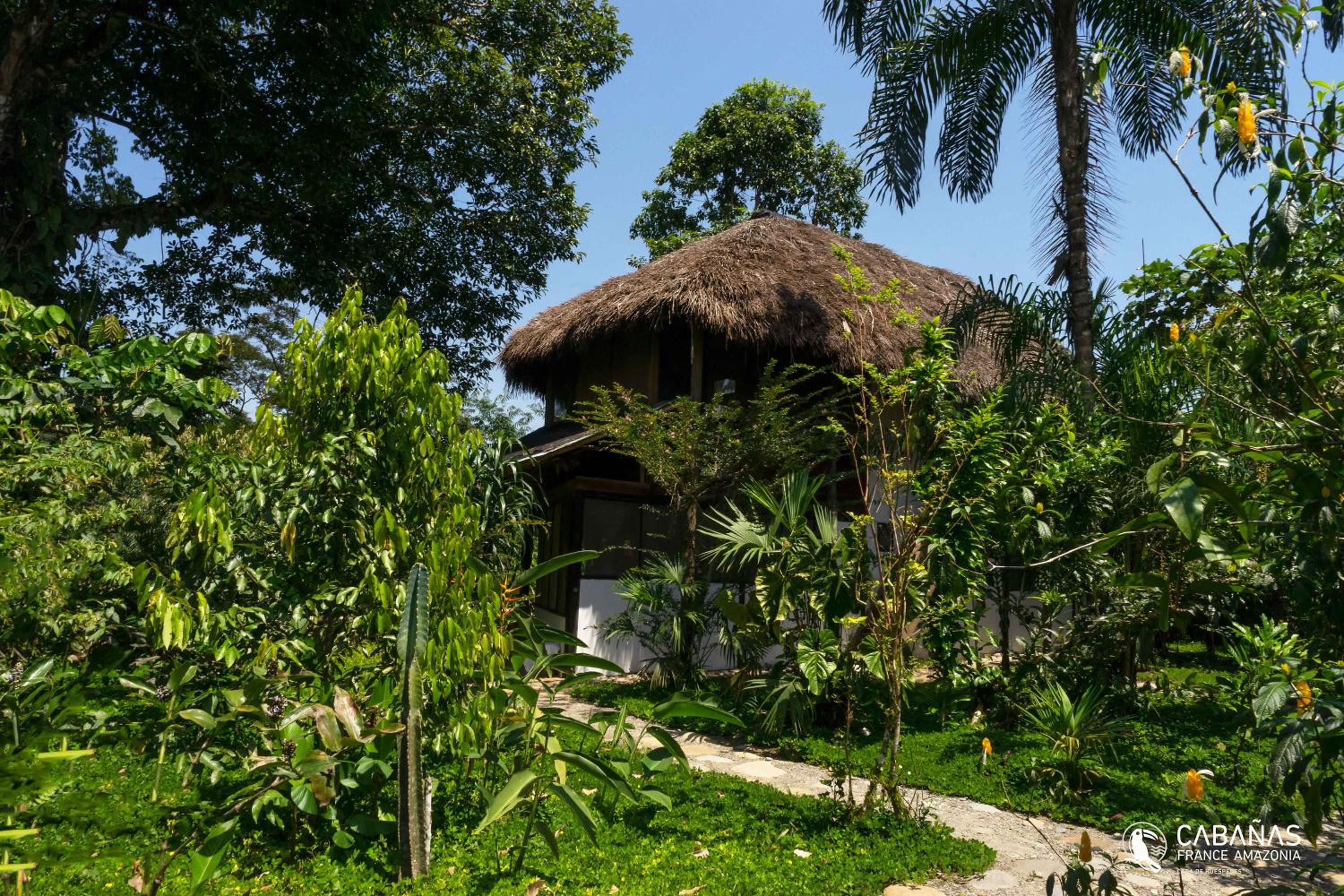 Lodge France Amazonia