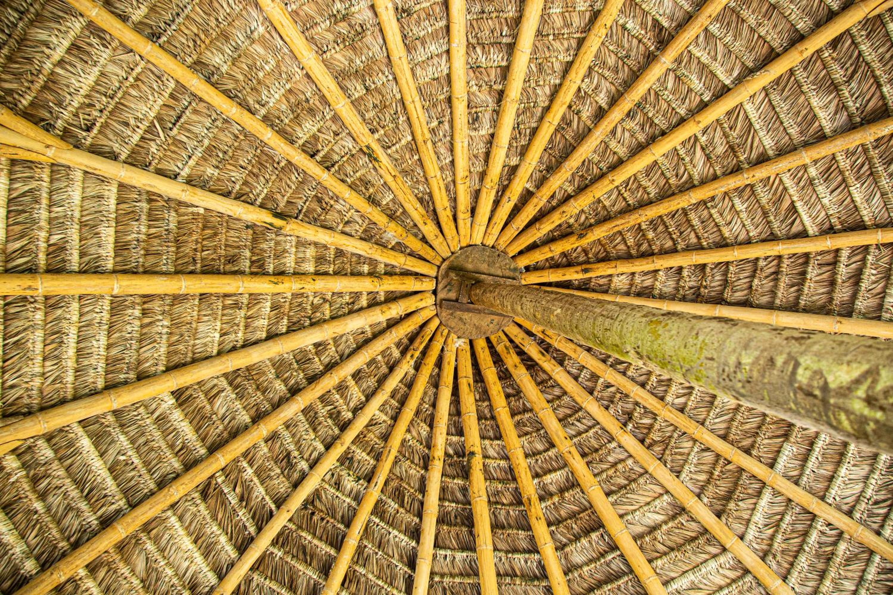 Lodge France Amazonia
