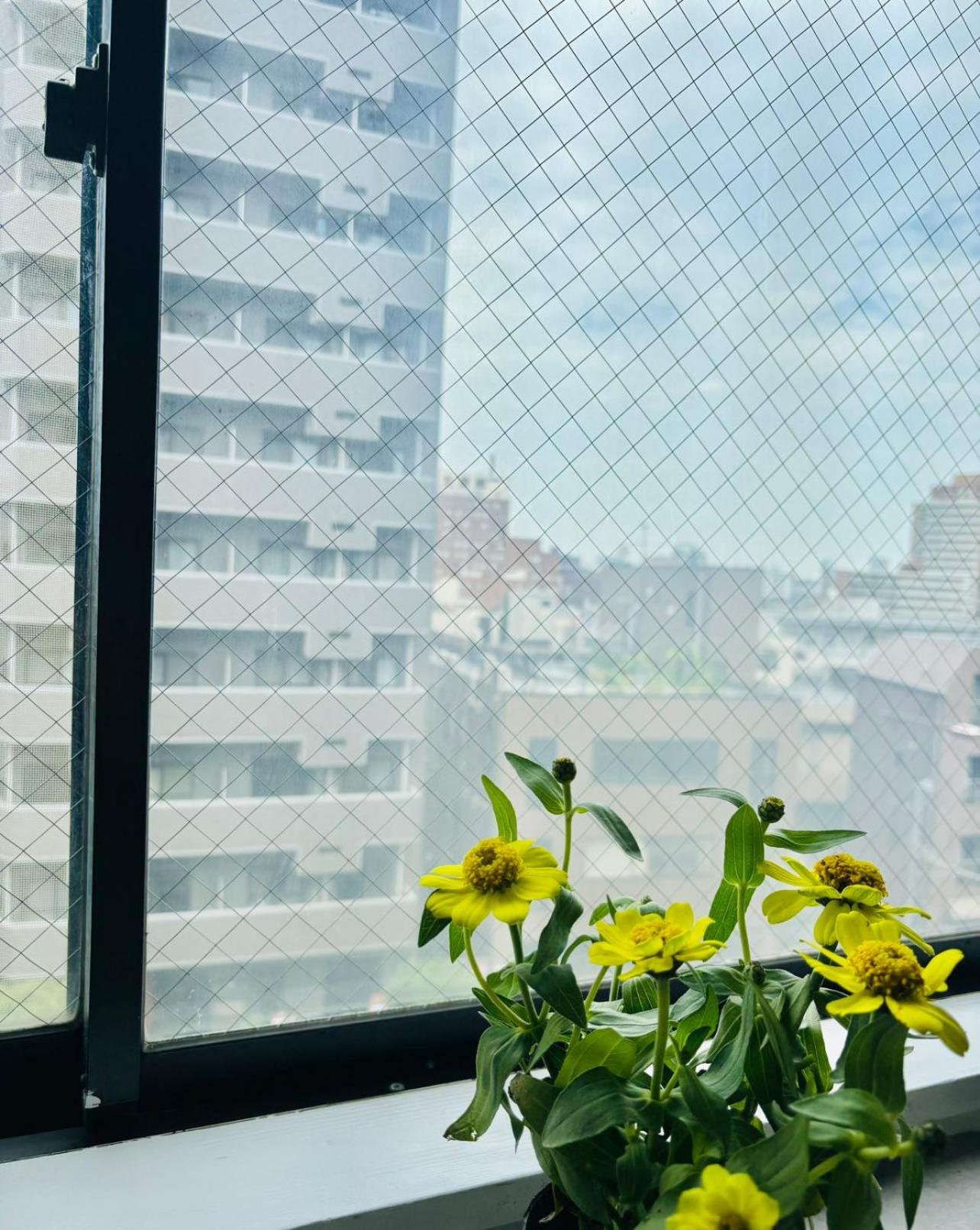 GLOU Yochomachi Compact Stay in Shinjuku
