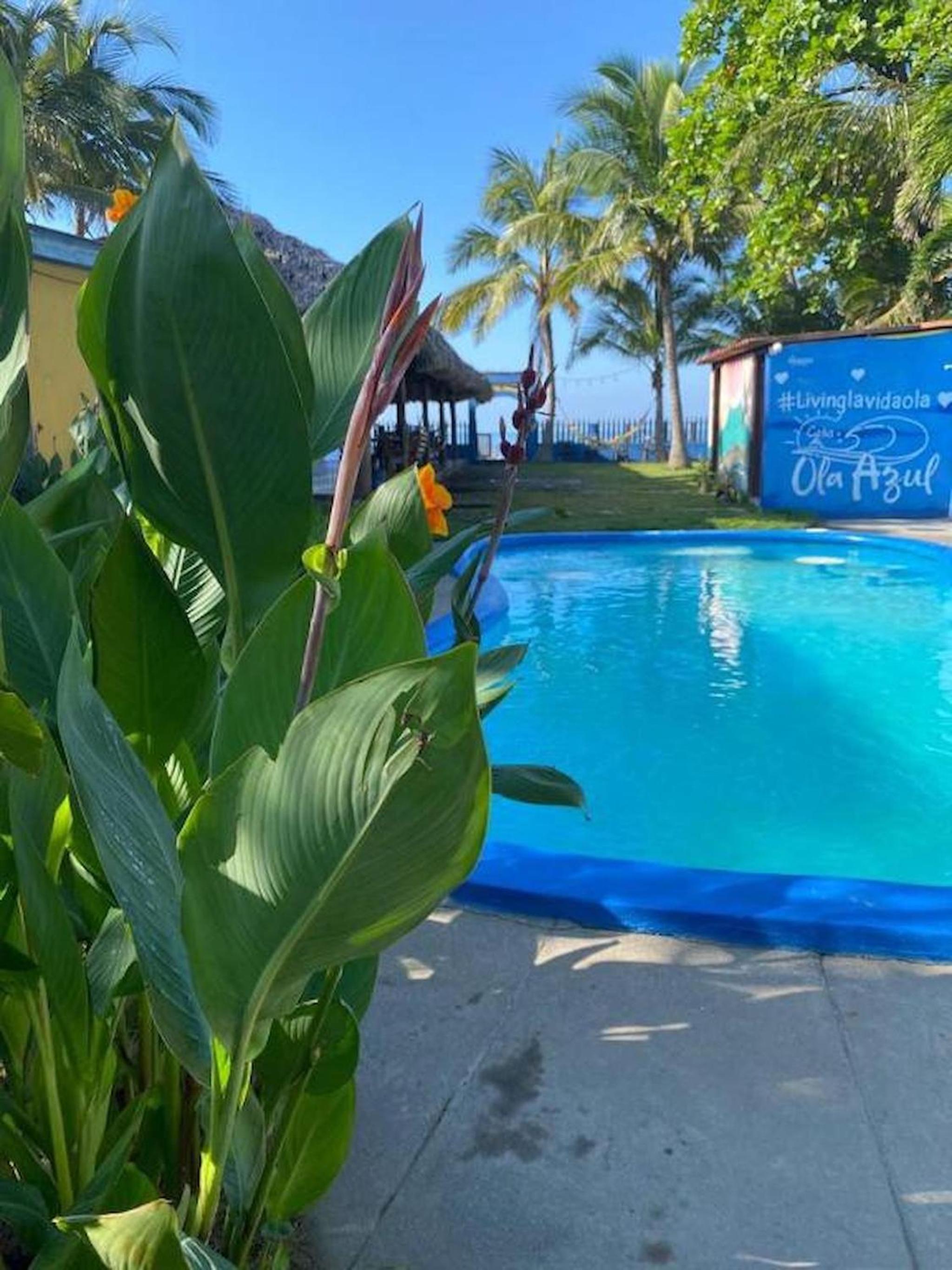 Room in BB - Beach Hotel Room For 6 P Pool Breakfast and Fan view 5