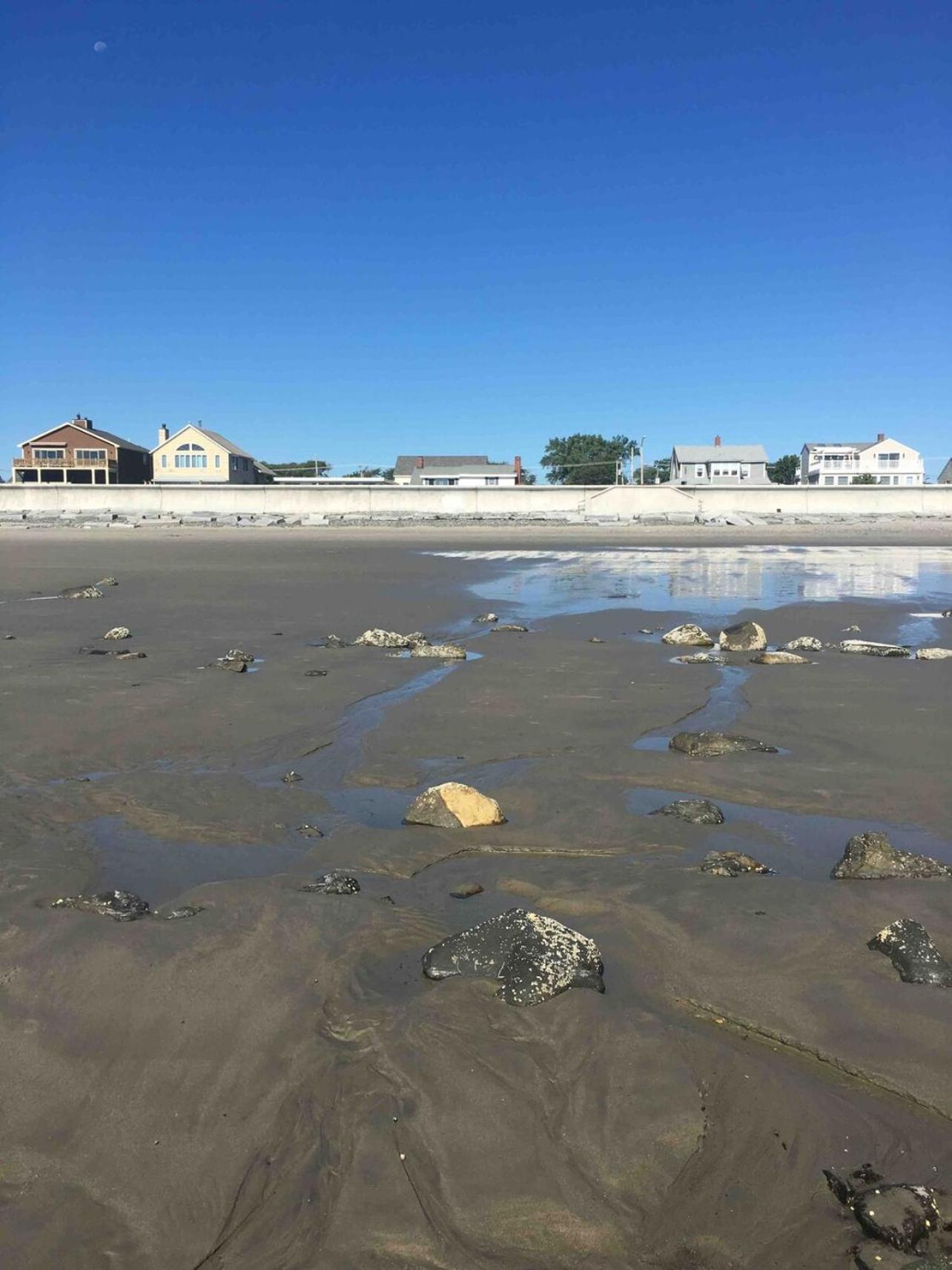 The Cottage On North Beach
