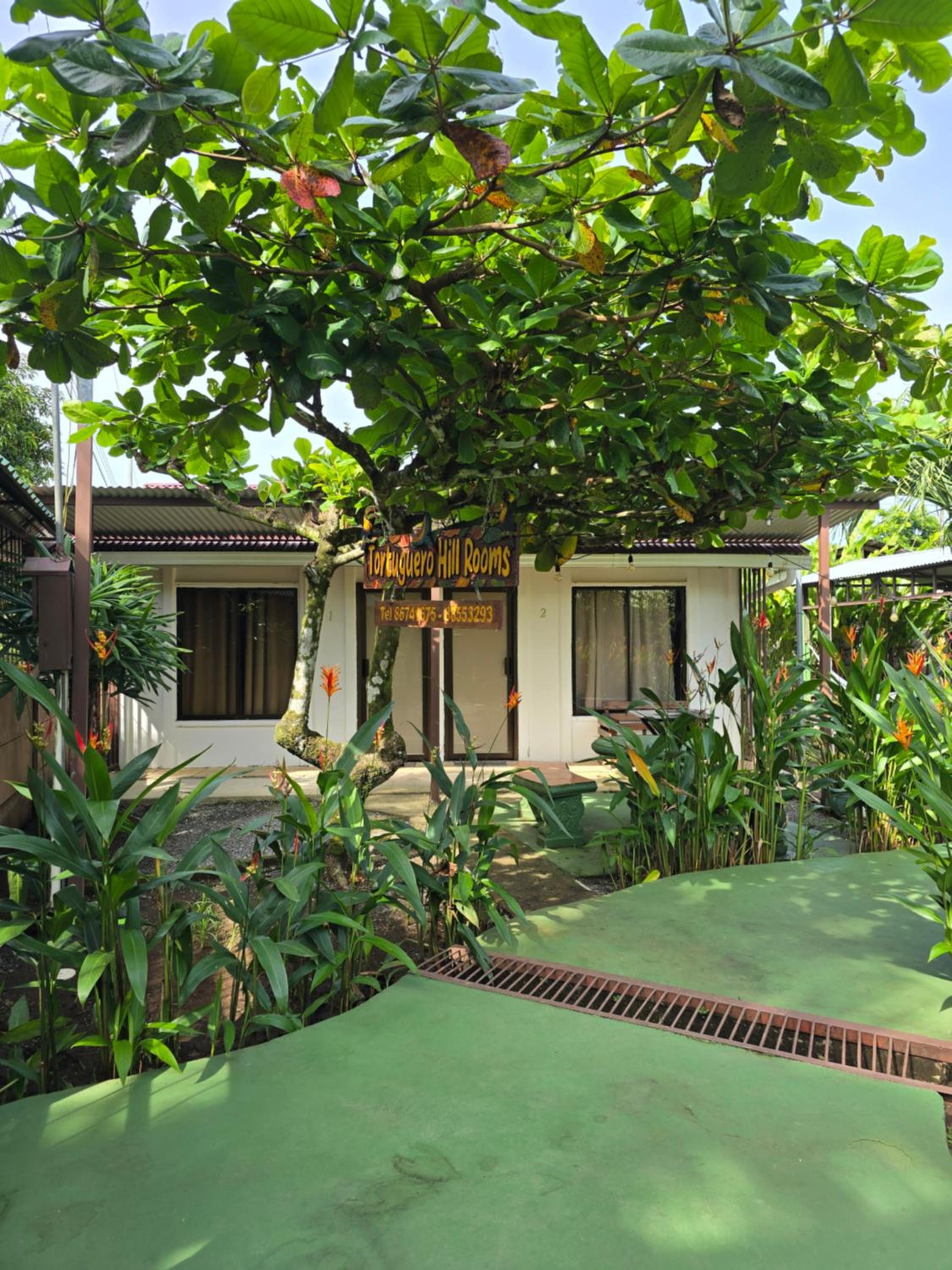 Tortuguero Hill Rooms