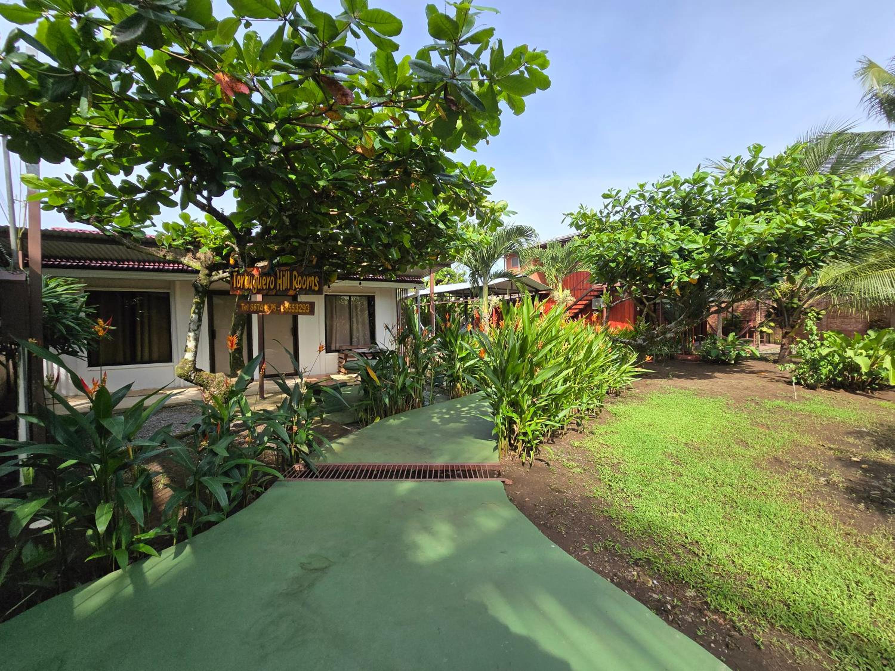 Tortuguero Hill Rooms