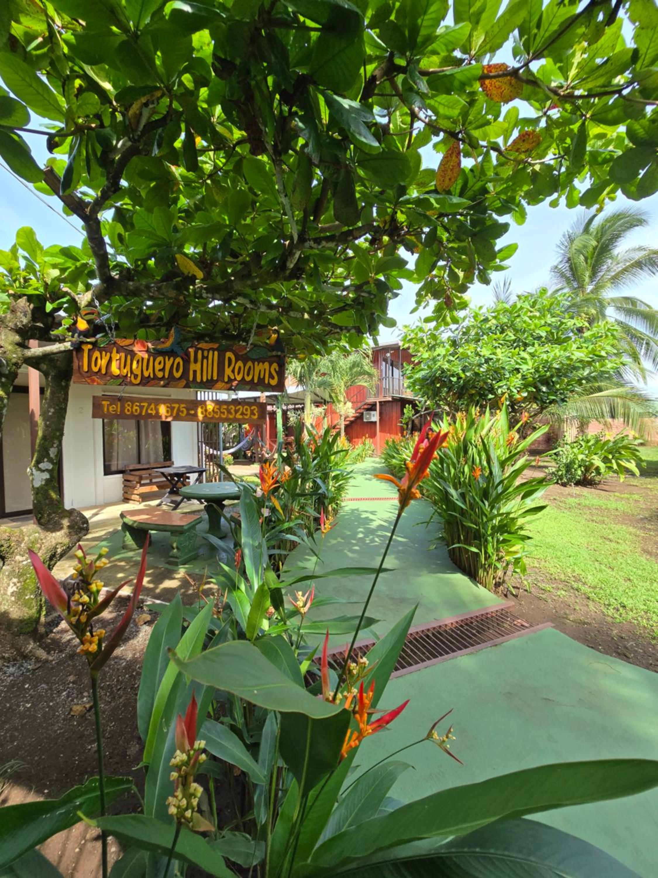 Tortuguero Hill Rooms
