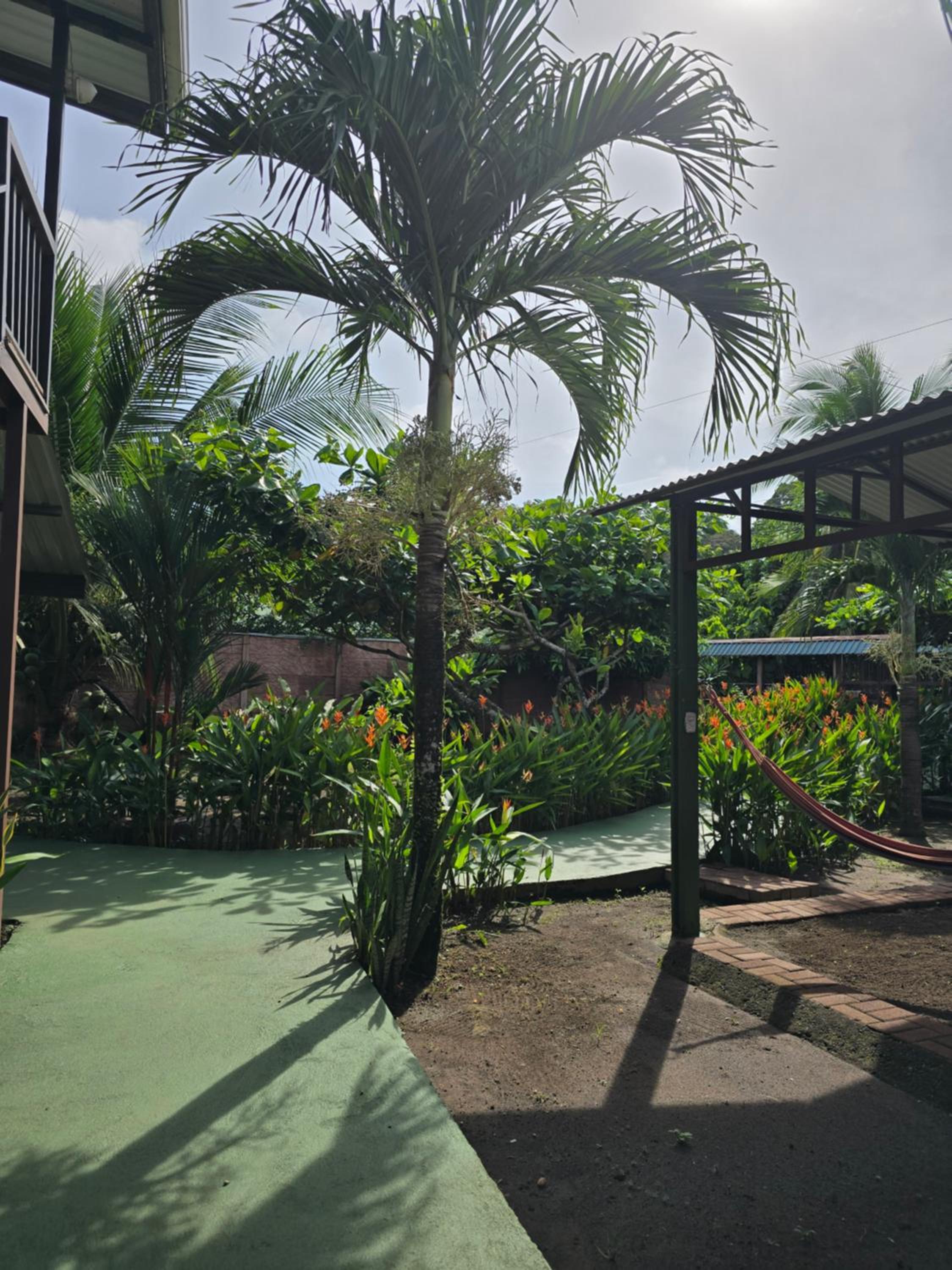 Tortuguero Hill Rooms