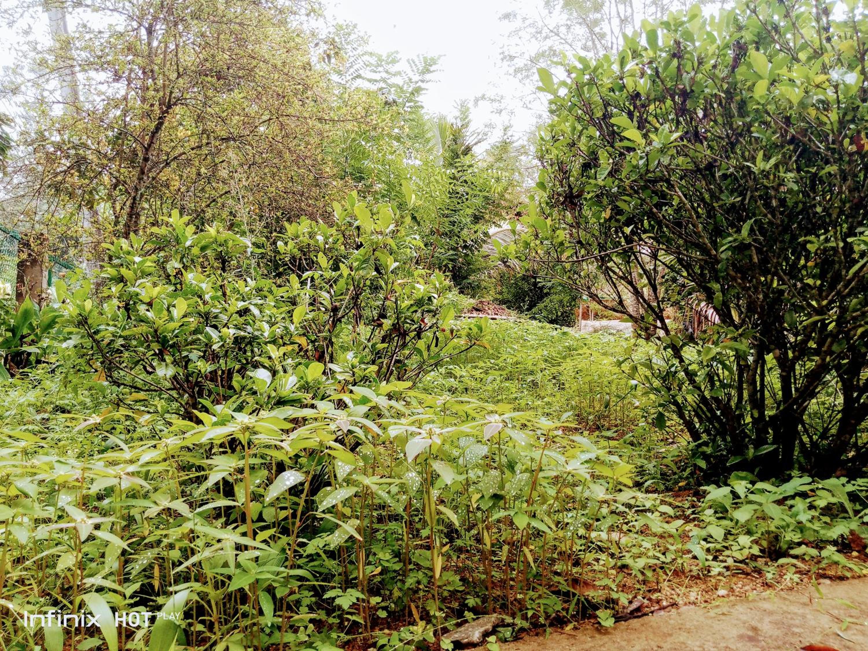 Photo 9