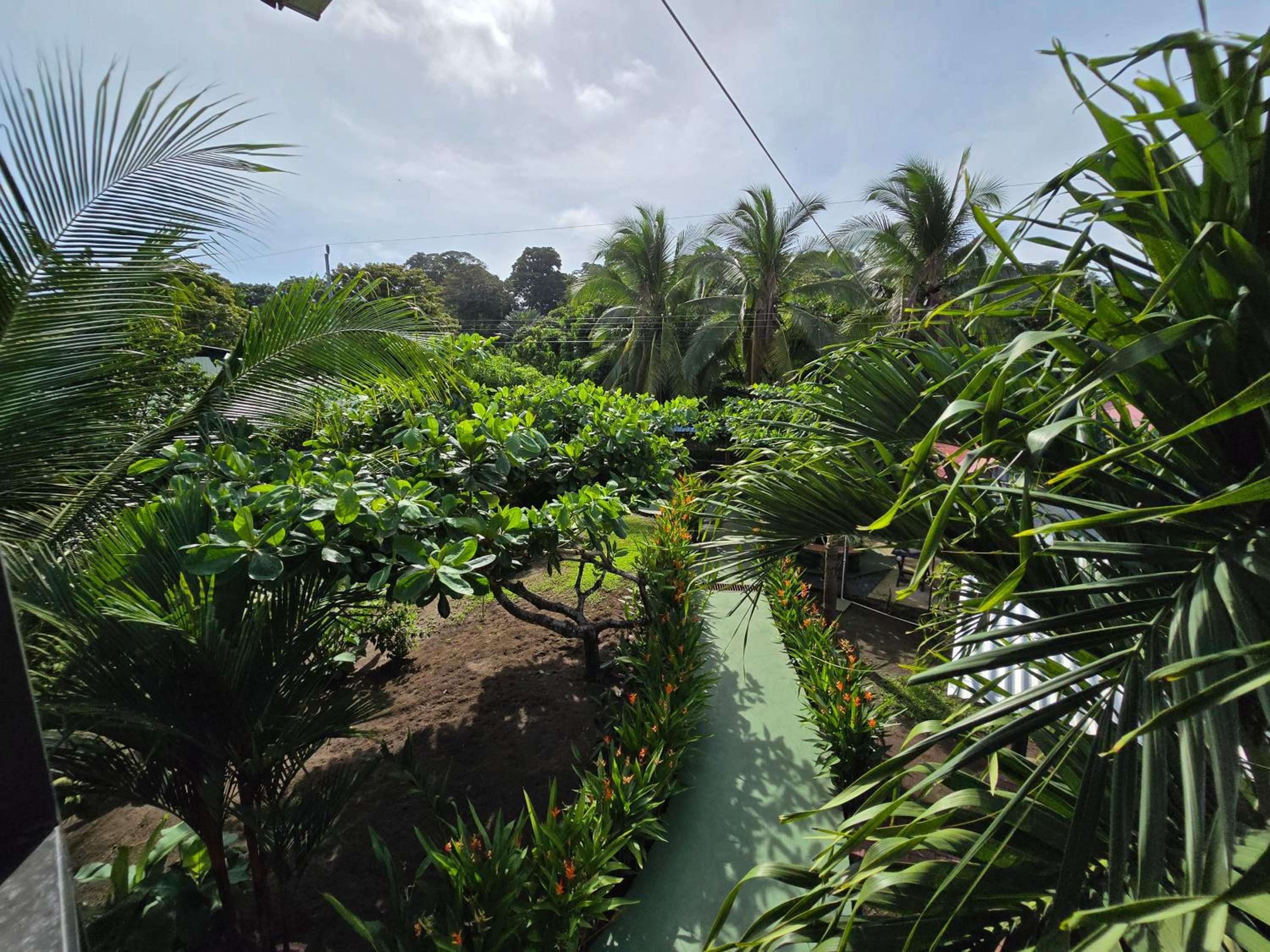 Tortuguero Hill Rooms