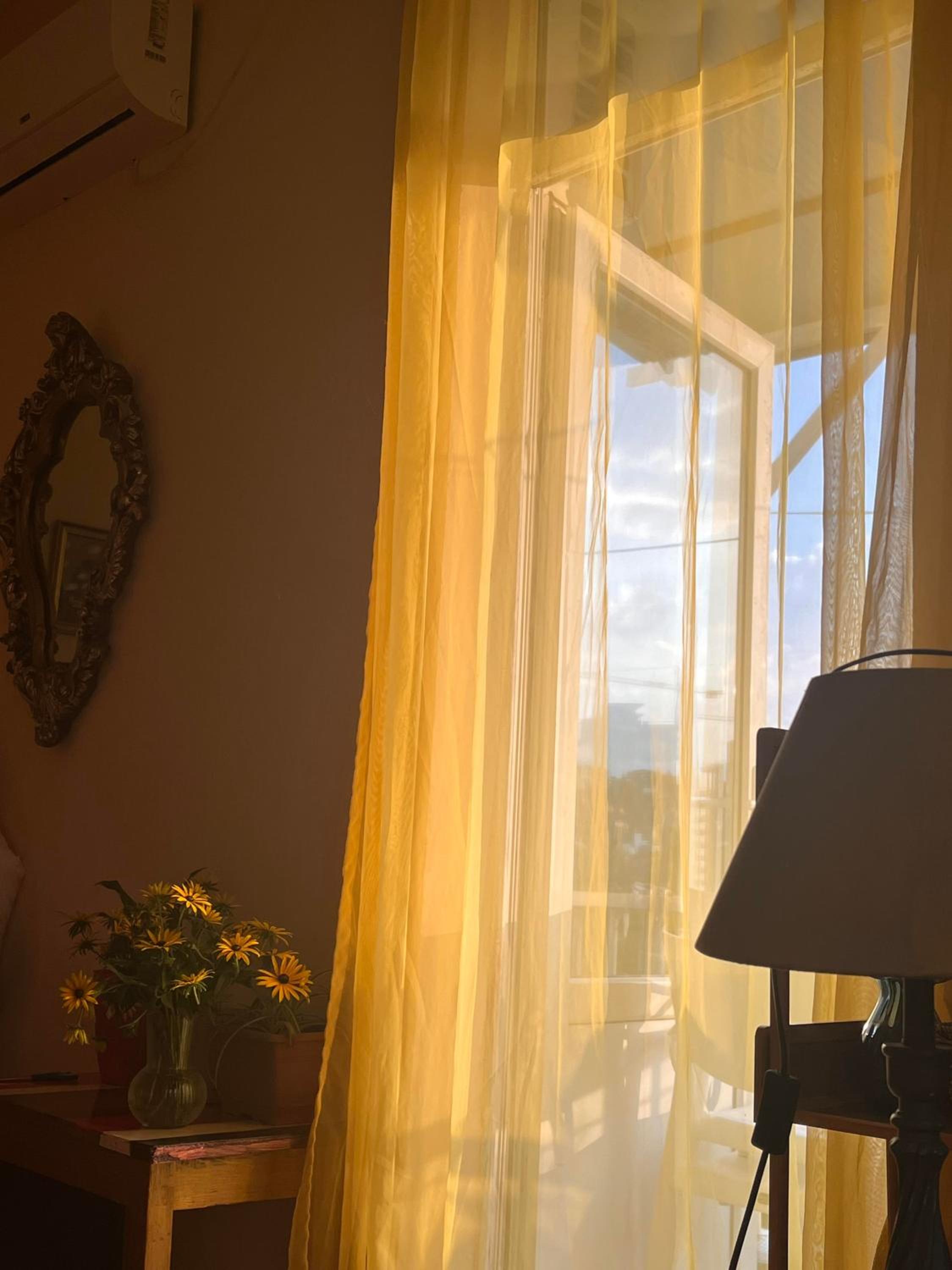 Almadovarhouse