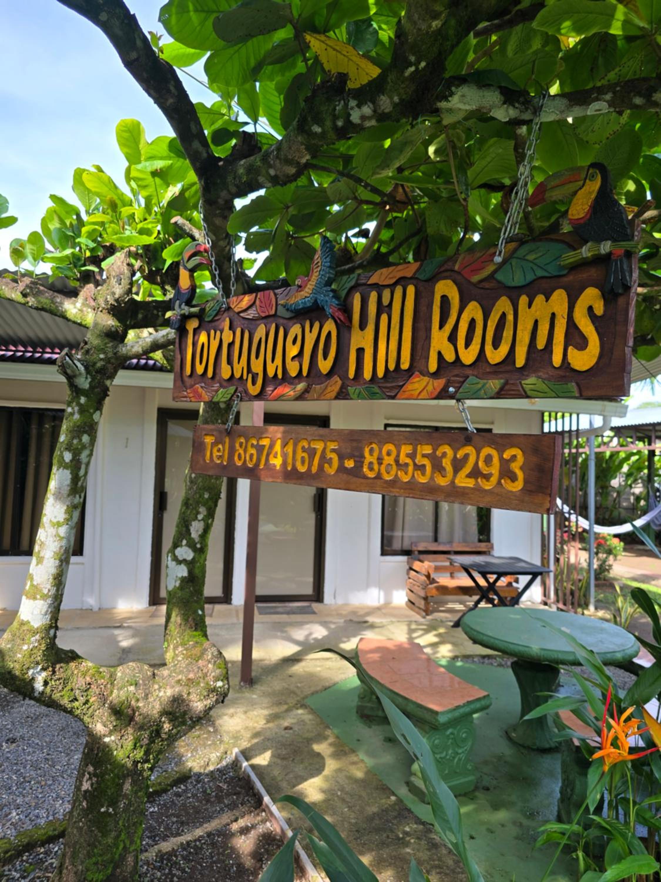 Tortuguero Hill Rooms