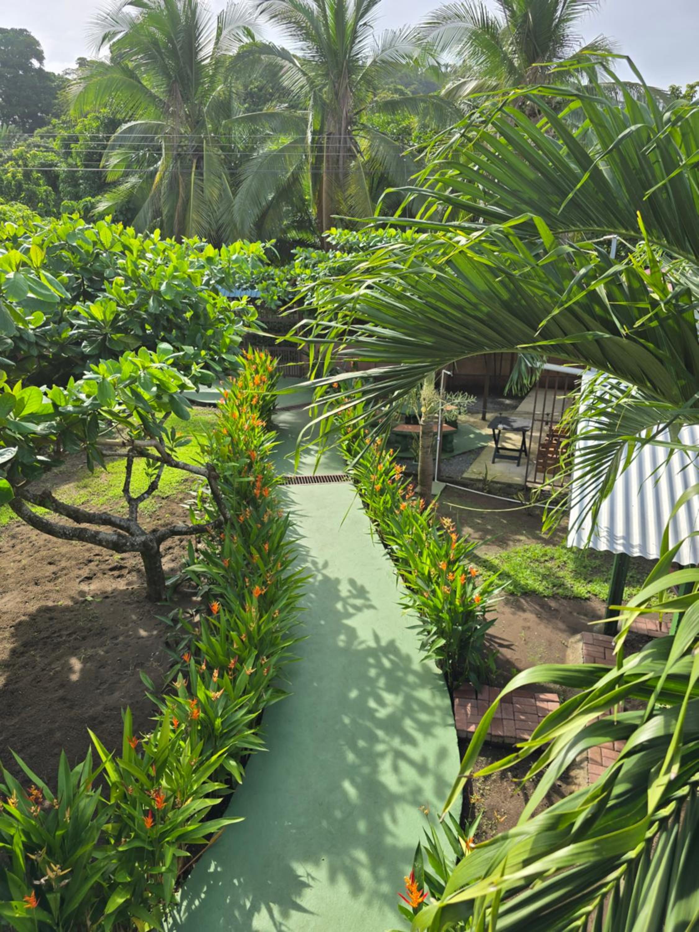 Tortuguero Hill Rooms