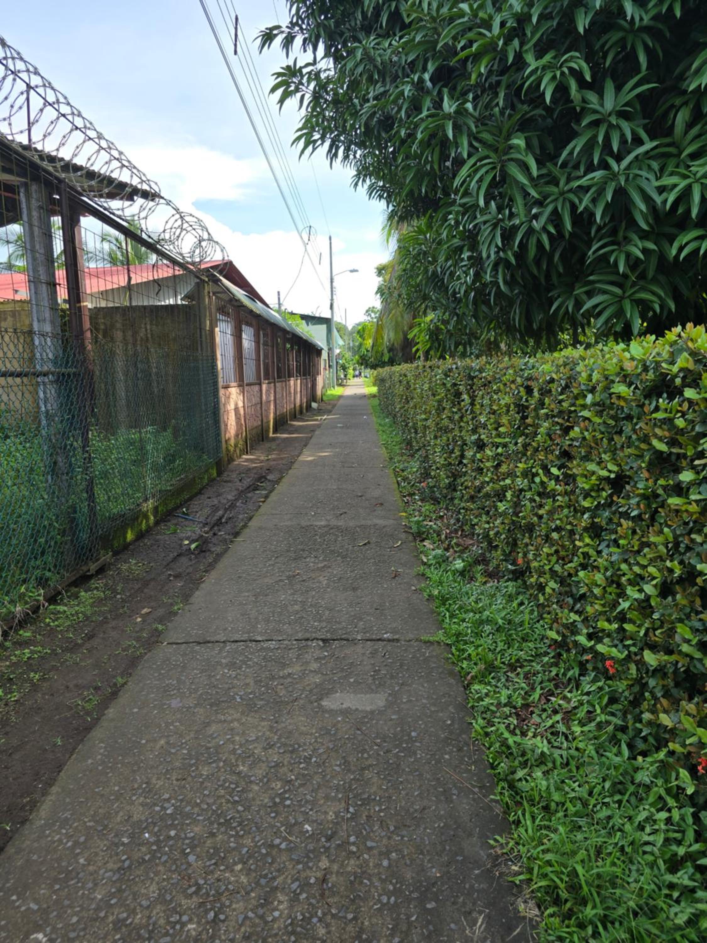Tortuguero Hill Rooms
