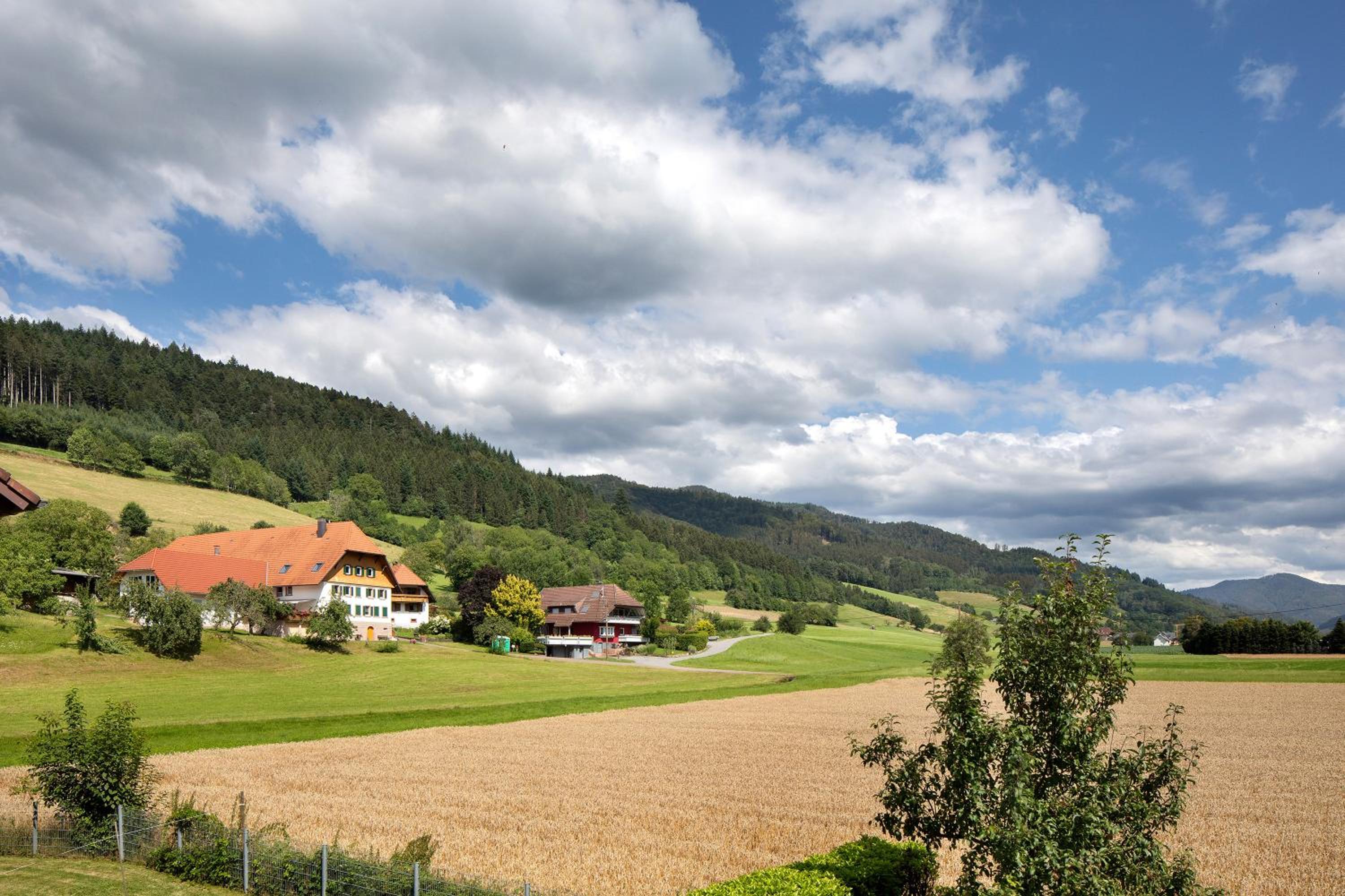 Ferienwohnung Hörnleberg