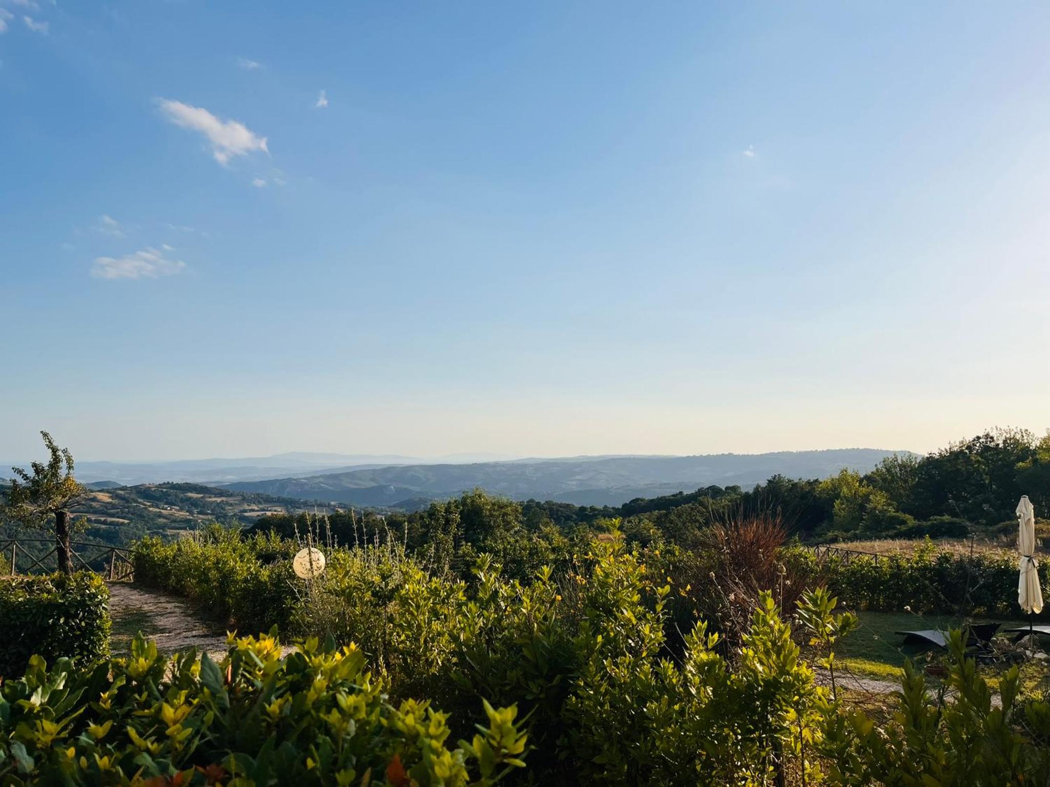 Uva - Poderone view 5