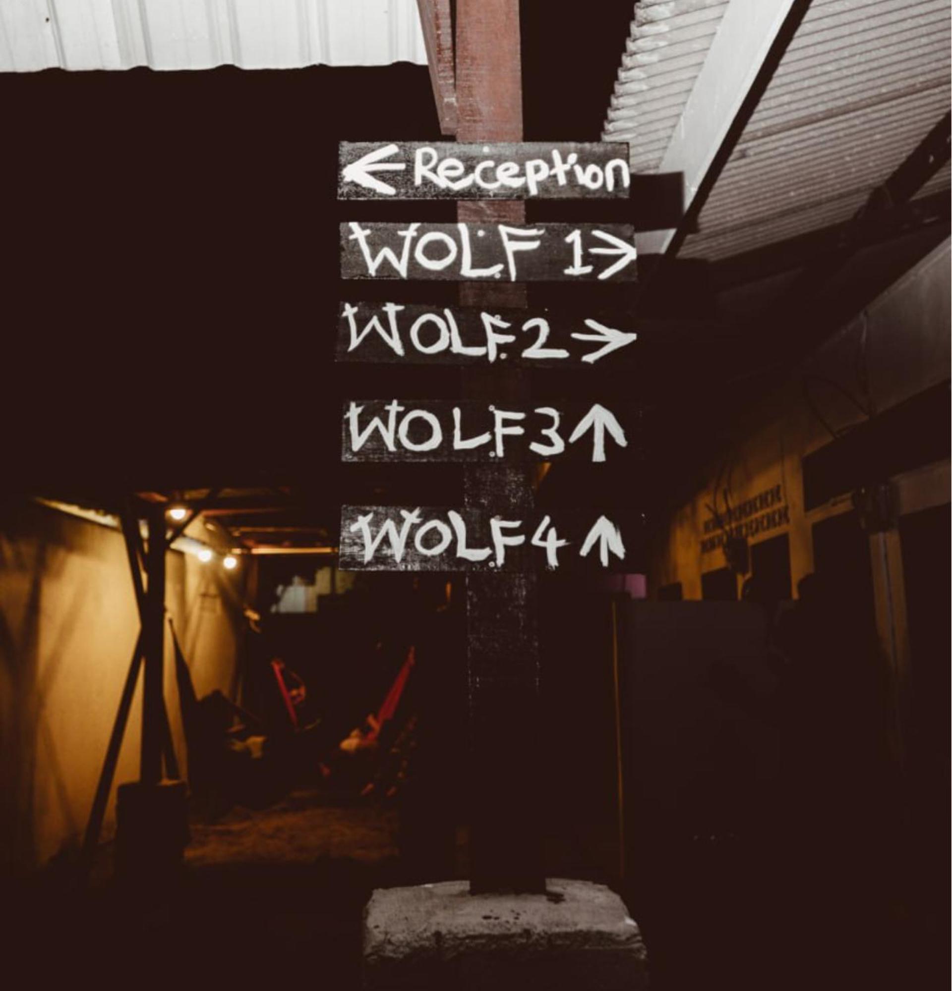 House of Wolves Hostel photo 8