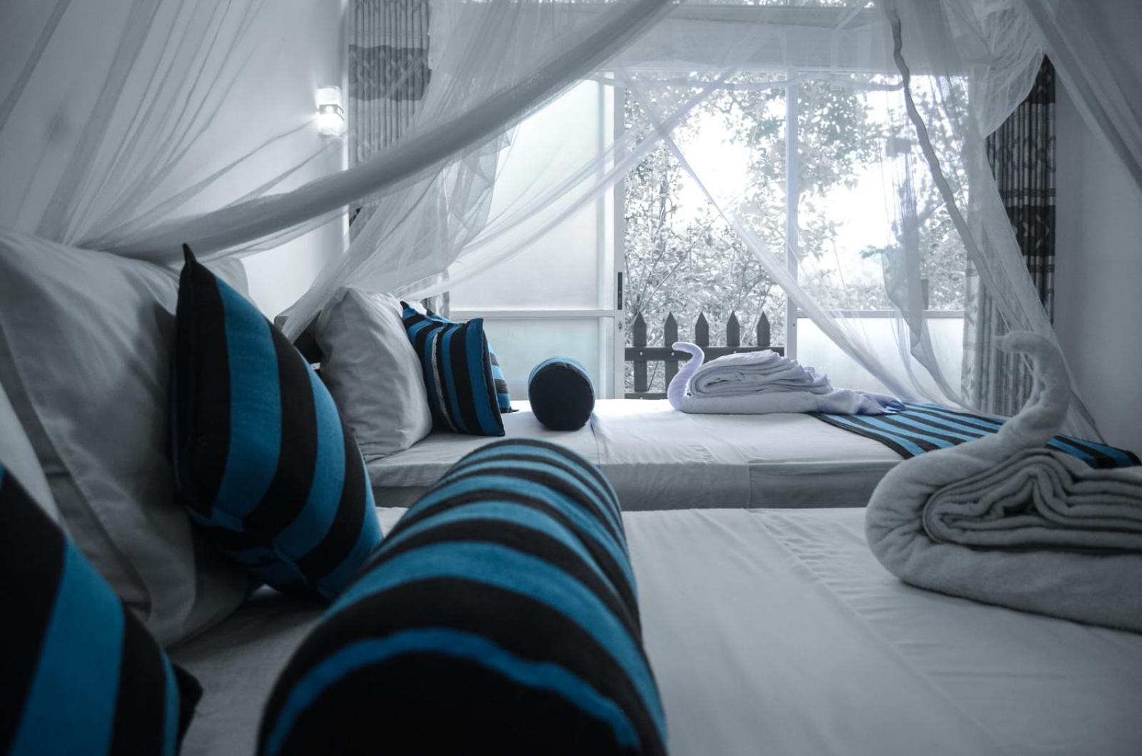 New Blue Home