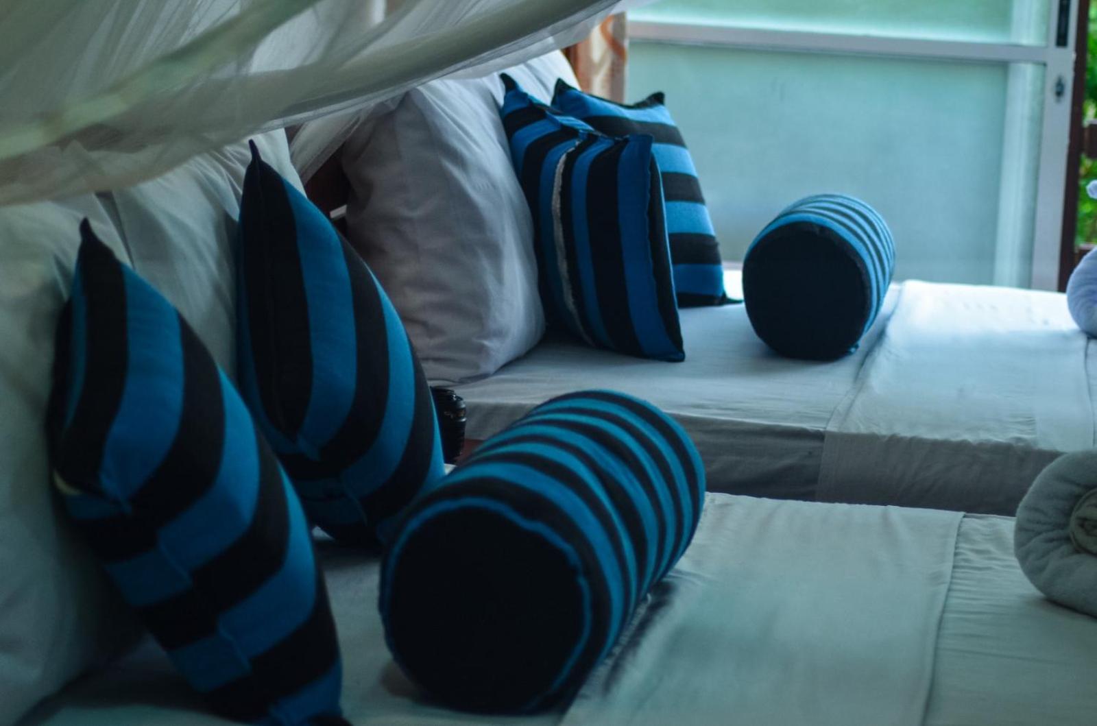 New Blue Home