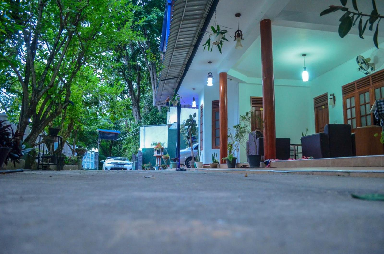 New Blue Home