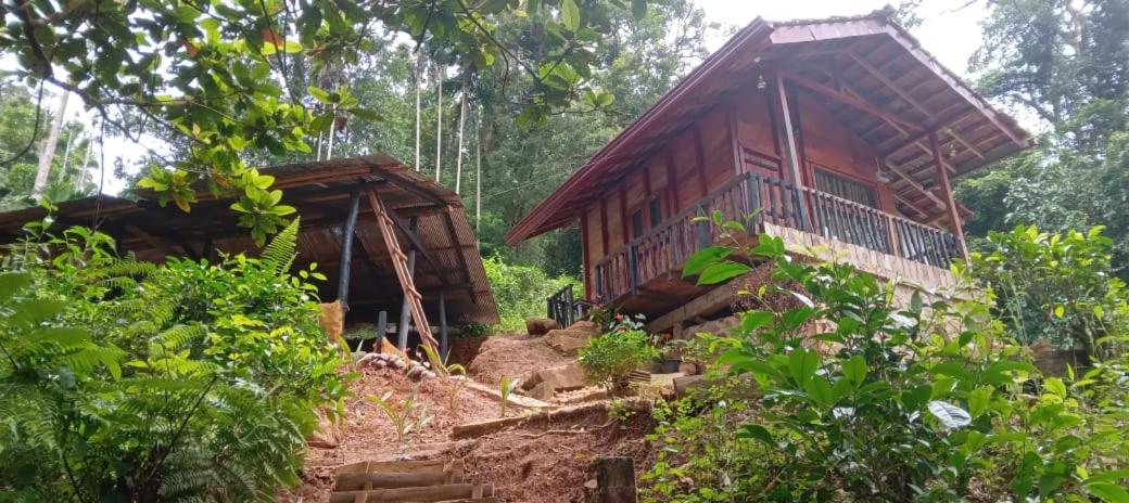 Woodland Hideaway in Sinharaja